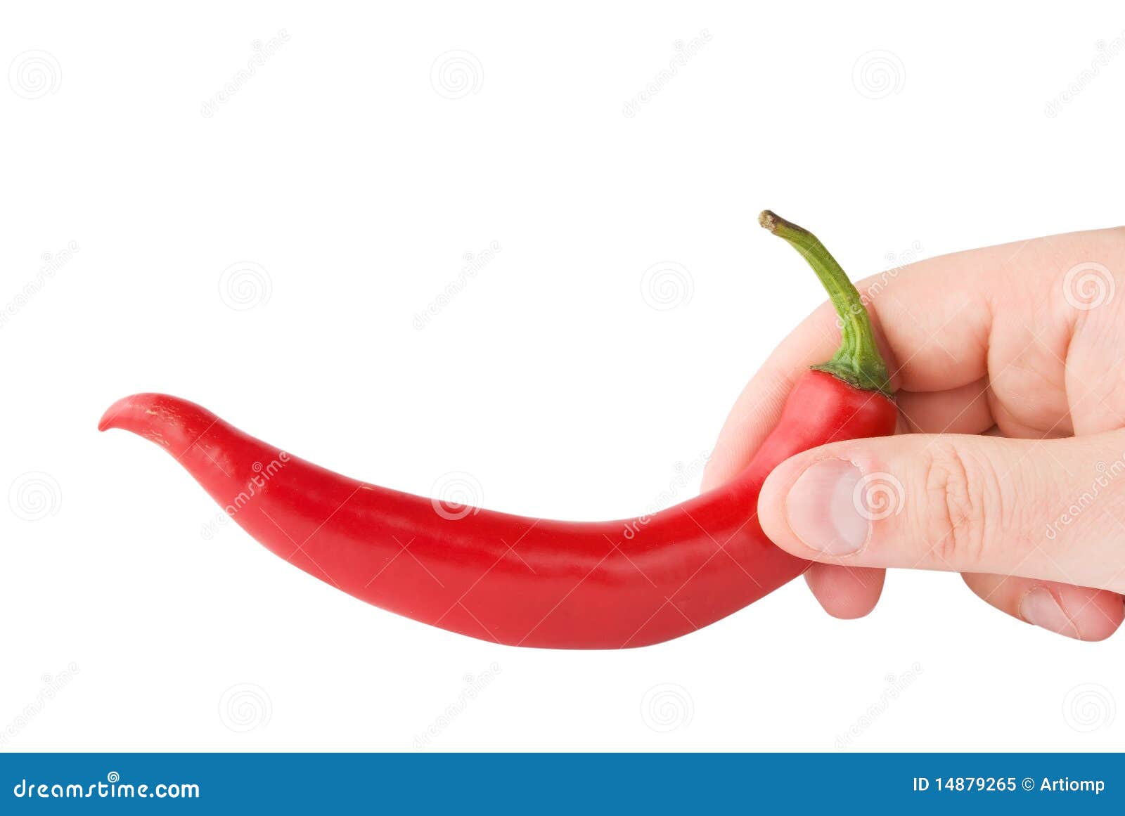 Chili pepper in hand stock image. Image of healthy, pepper 14879265