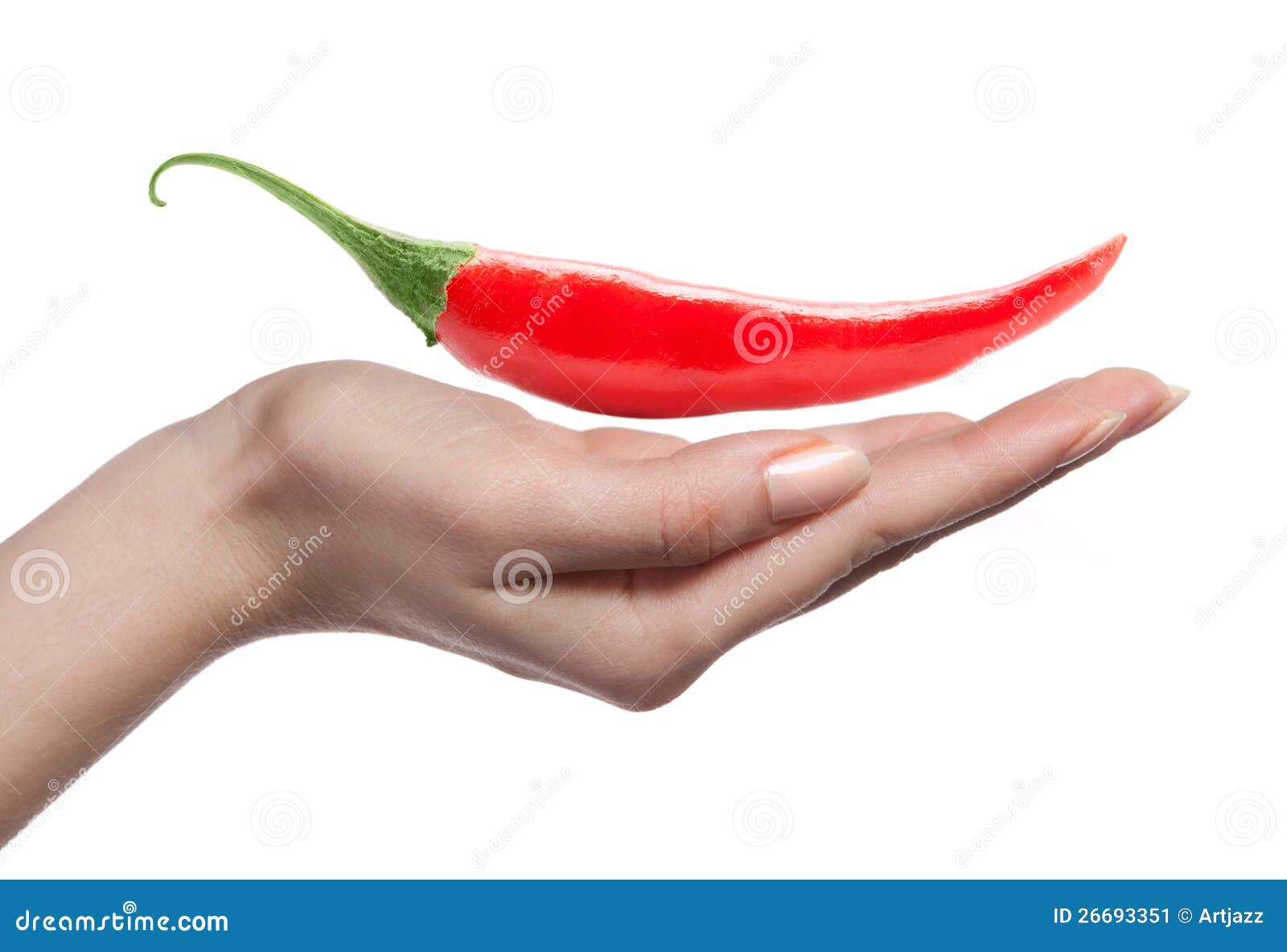 Chili Pepper and Human Hand Stock Image Image of chili, macro 26693351