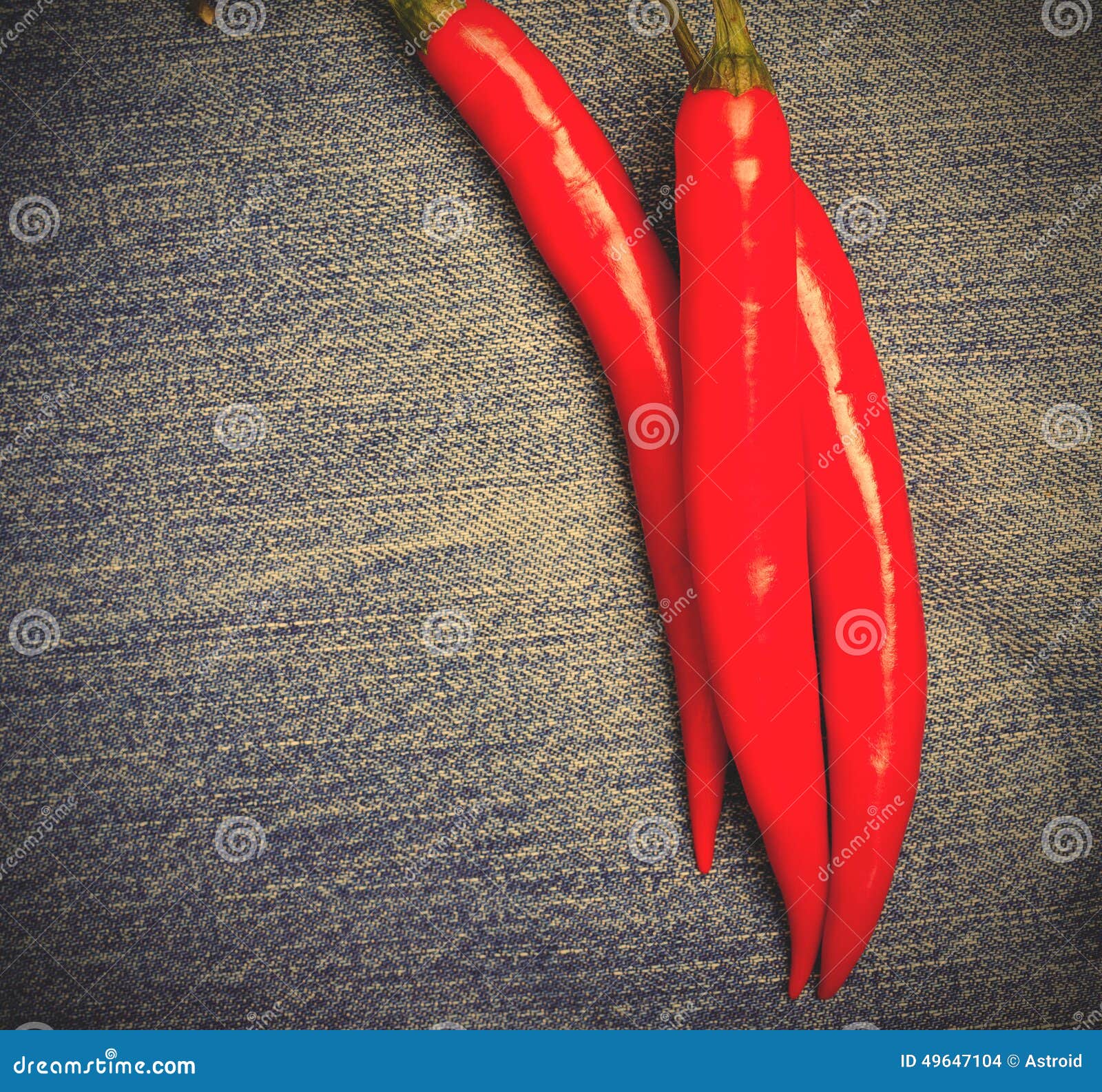 Chili pepper on jeans stock photo. Image of mexico, macro 49647104