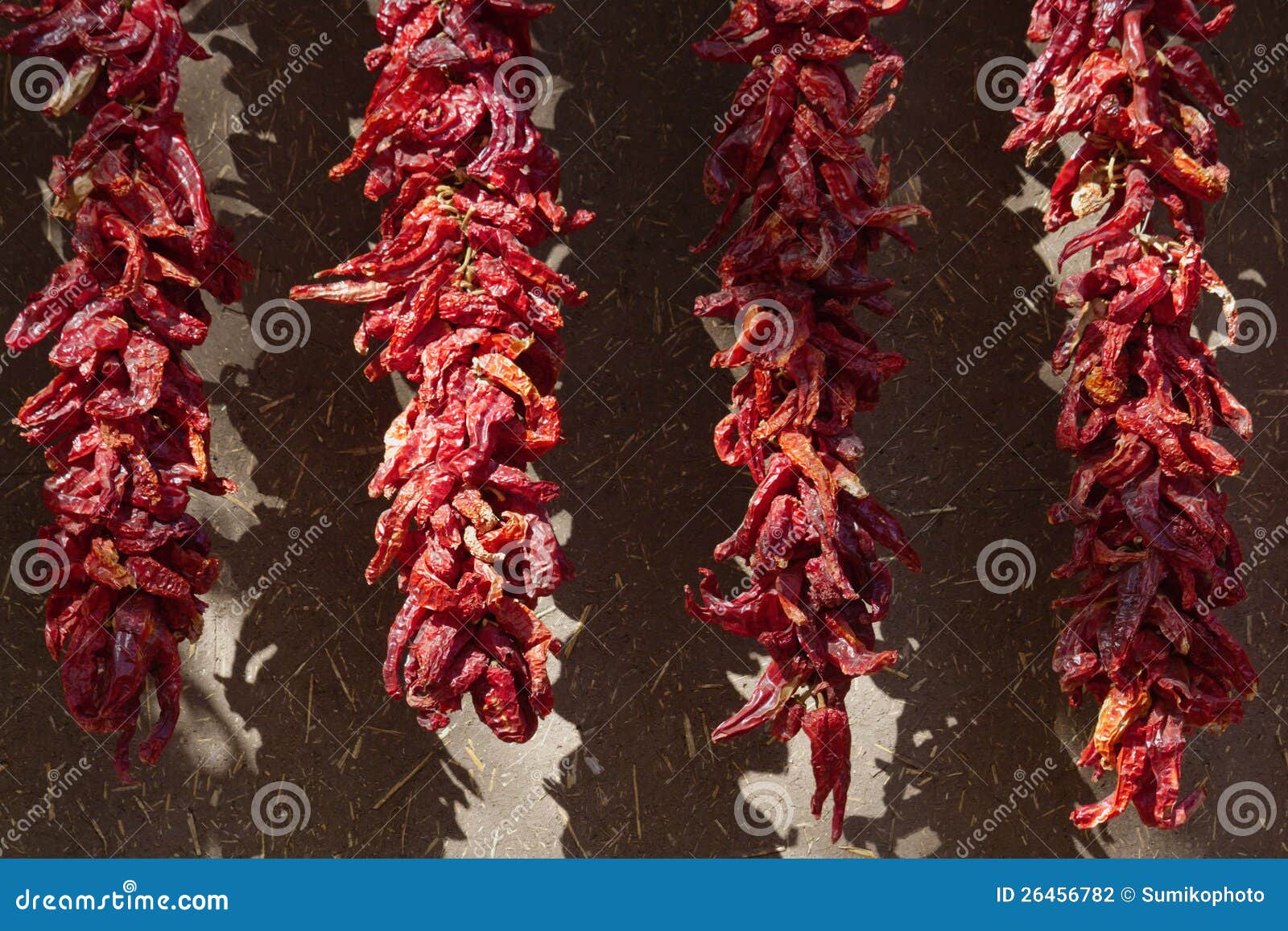 Chili Pepper Ristra stock photo. Image of hanging, food 26456782