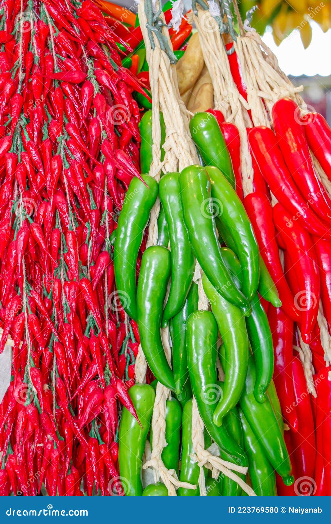 Chili pepper for sale stock photo. Image of fresh, green 223769580
