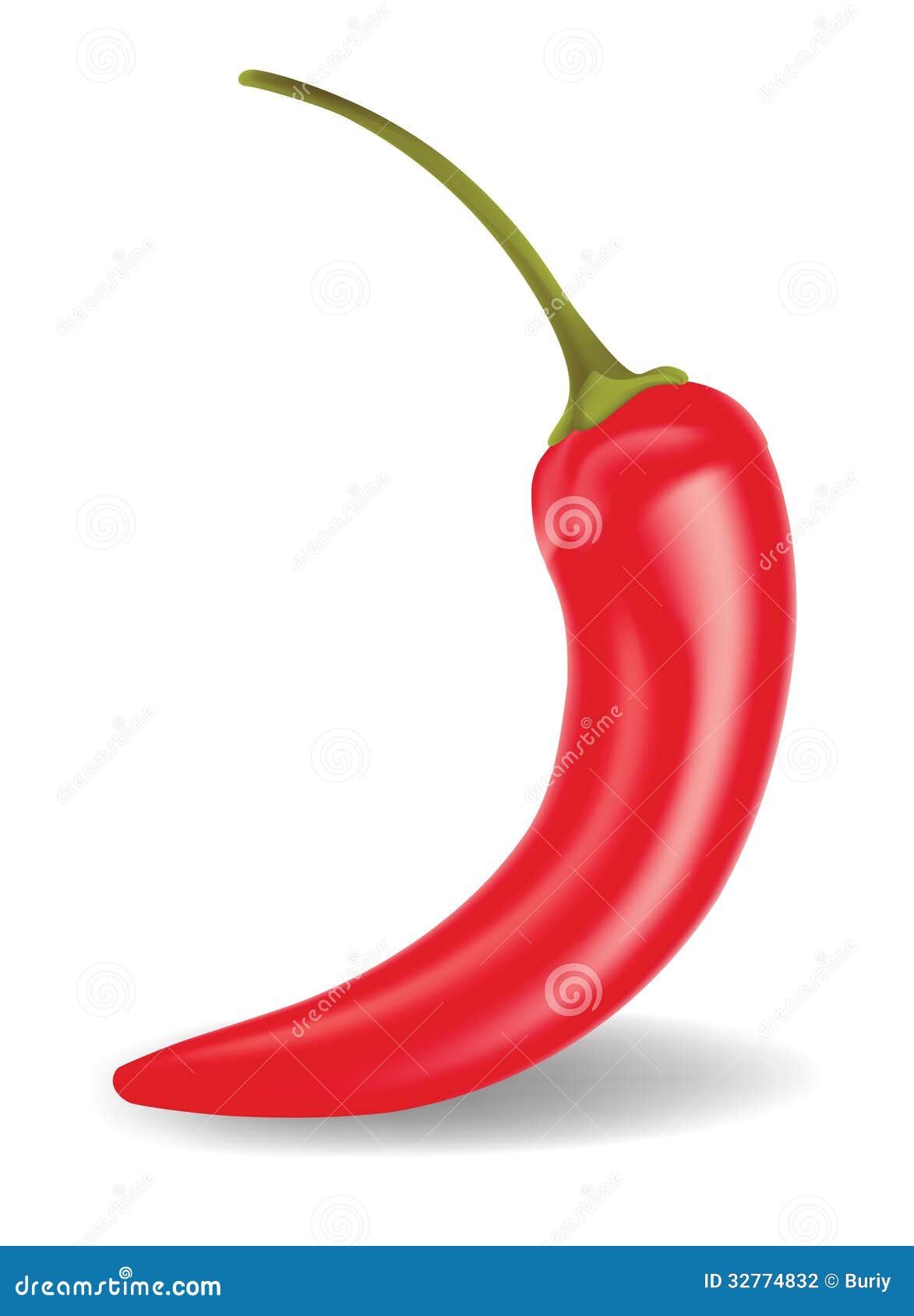 Chili Pepper stock vector. Illustration of food, ingredient - 32774832