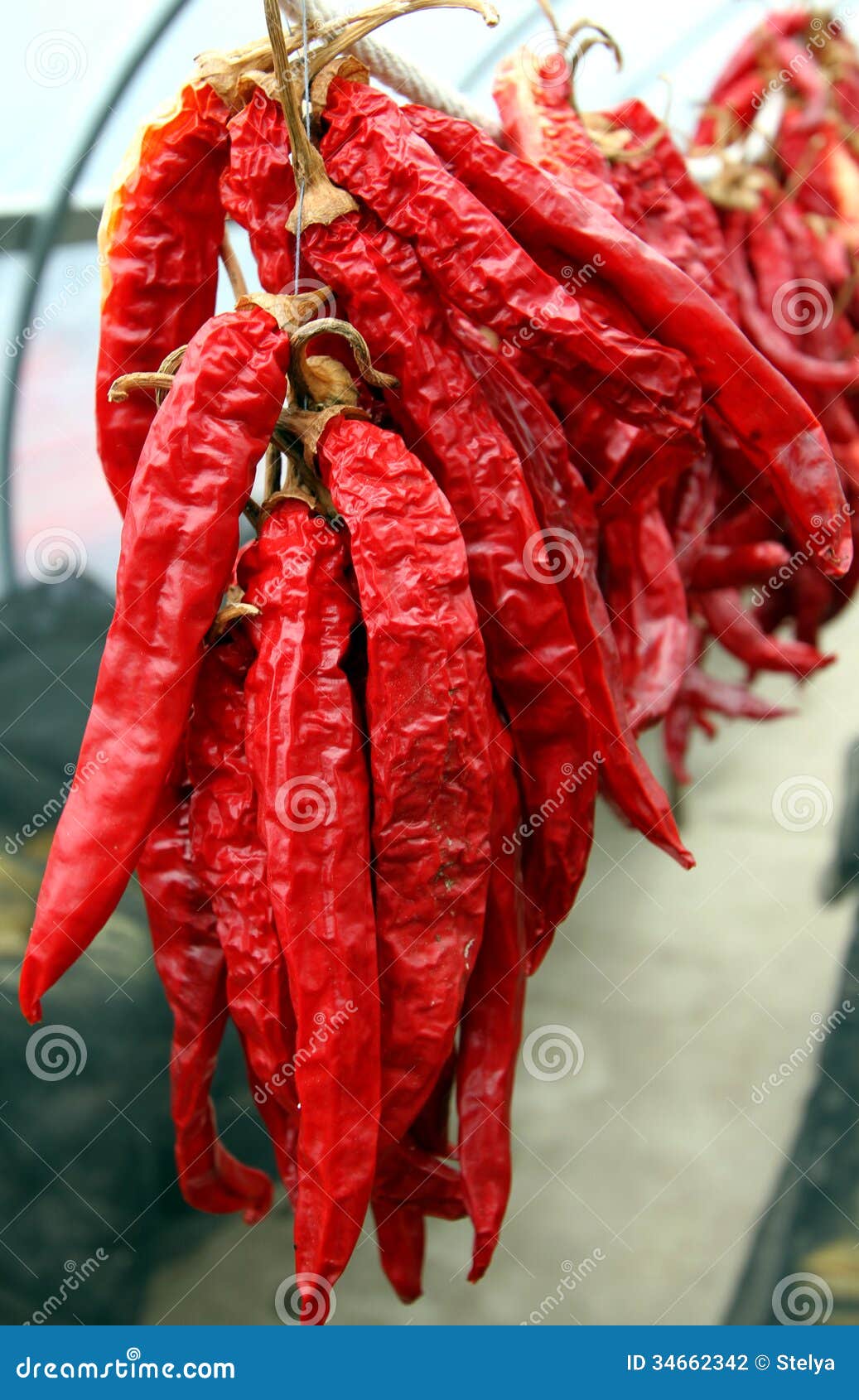 Chili Peppers stock photo. Image of seasoning, peppers 34662342