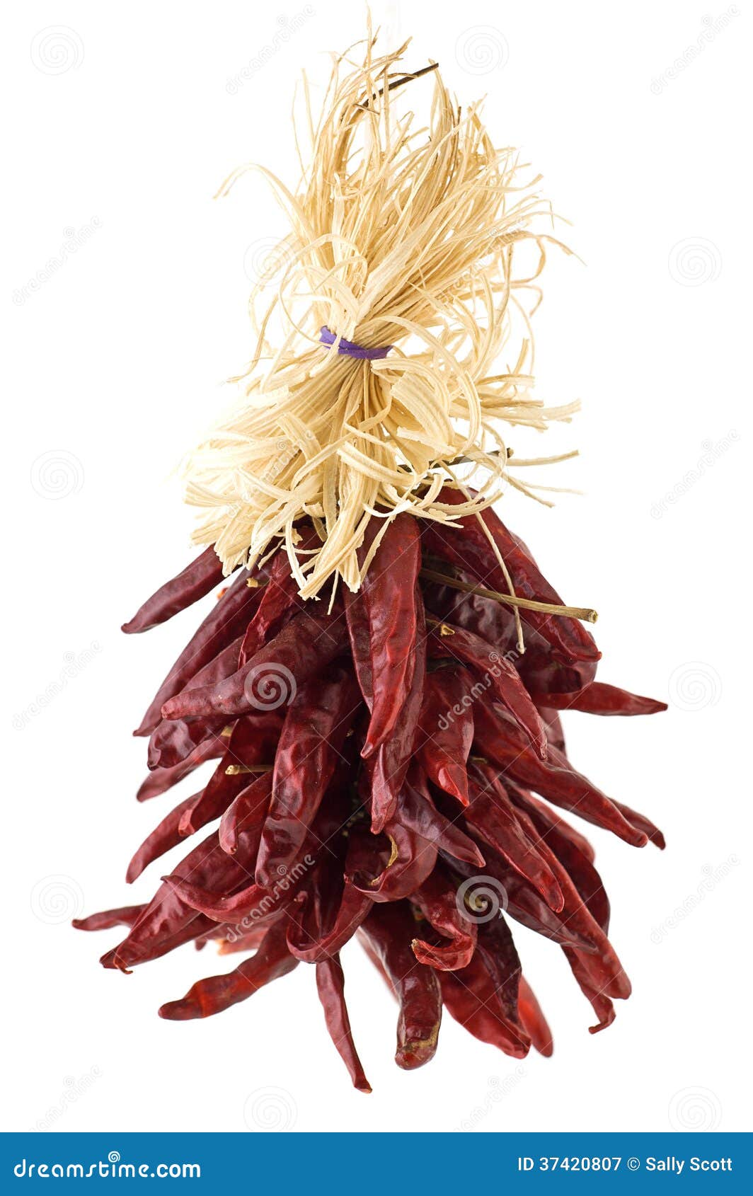 Chili ristra stock image. Image of pepper, vegetable 37420807