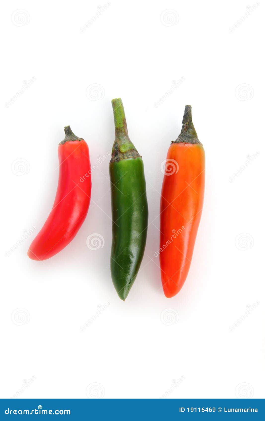 Chili Serrano Isolated on White Green Red Orange Stock Image Image of