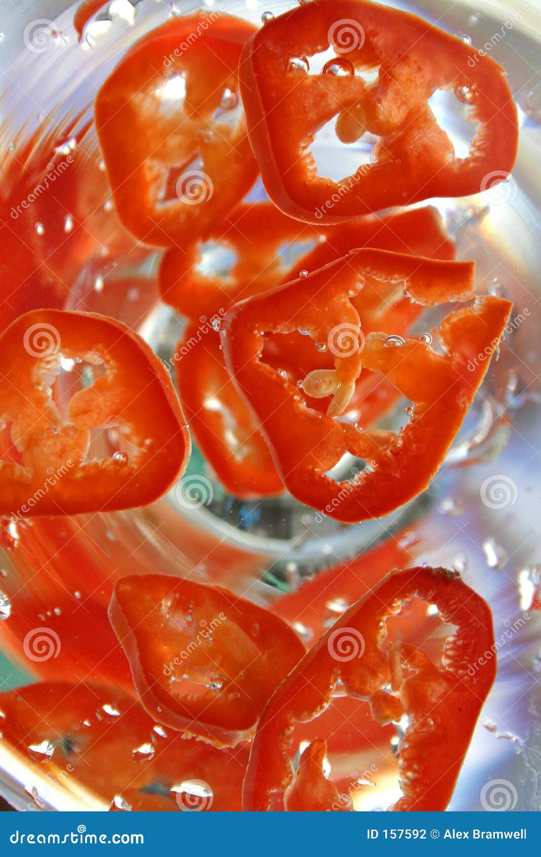 Chili Slices stock photo. Image of capsicum, vegetable 157592