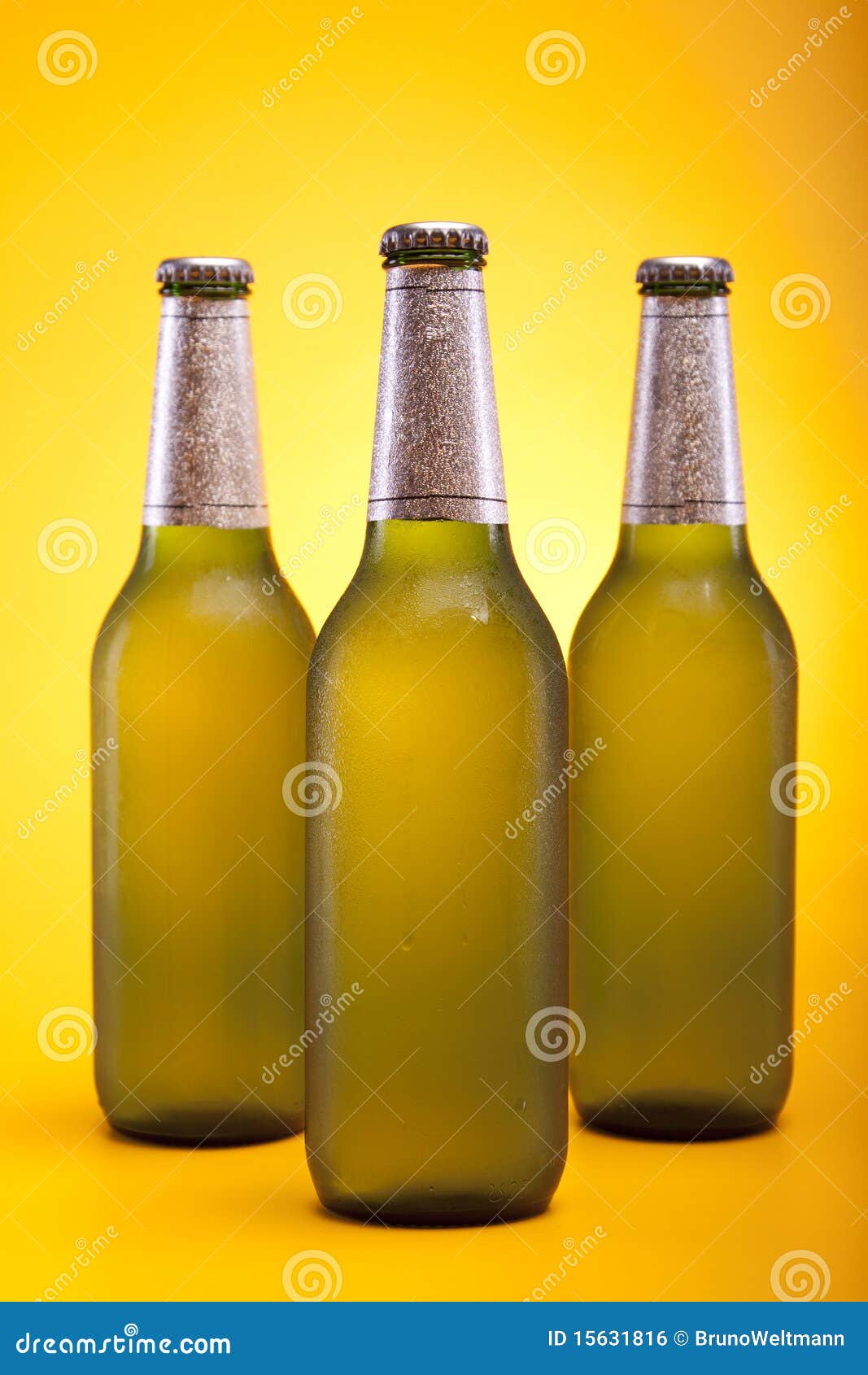 Chilled bottled beer stock photo. Image of golden, delicious 15631816