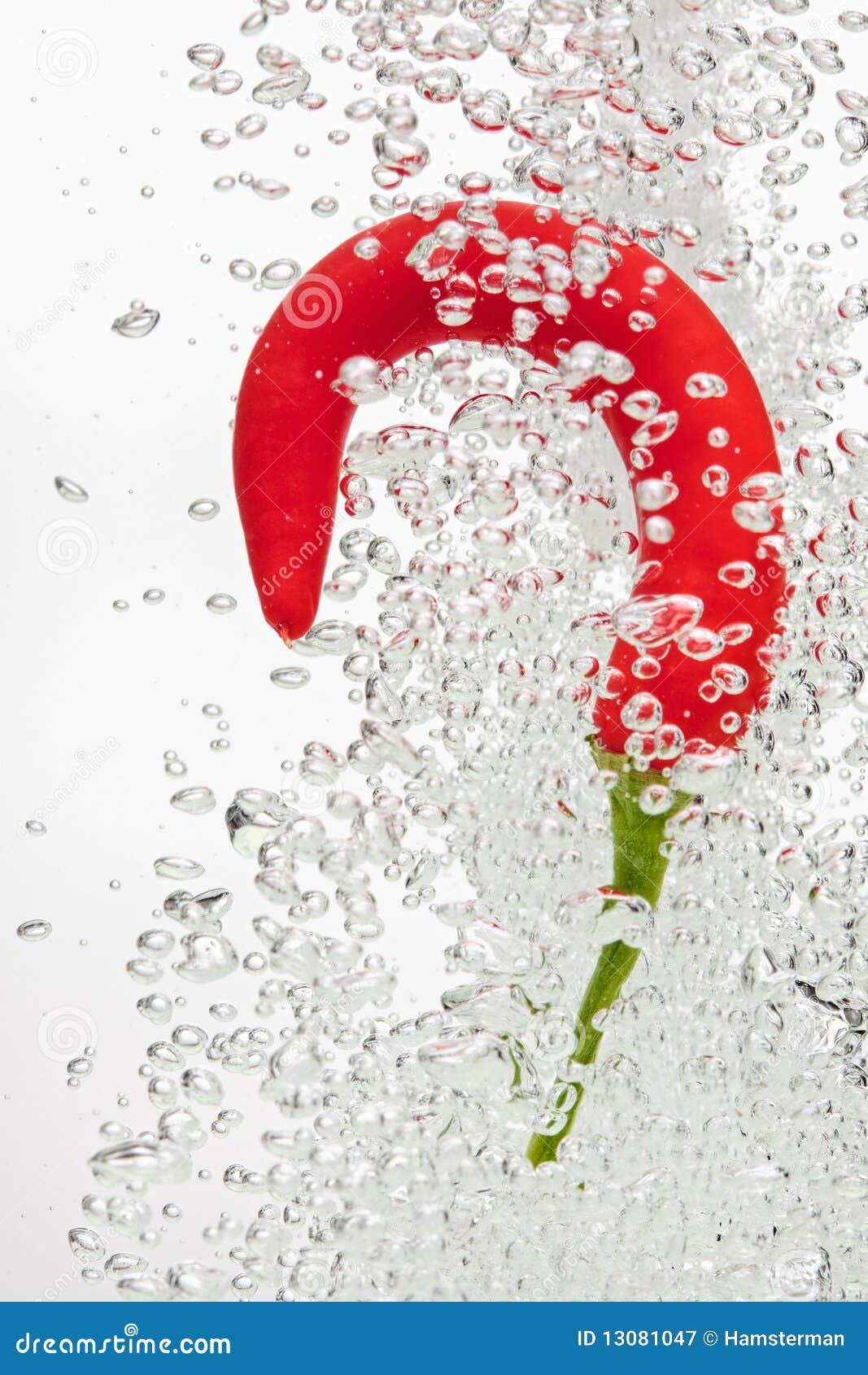 Chilli Pepper Falling in Water on White Stock Image Image of ripple, paprika 13081047