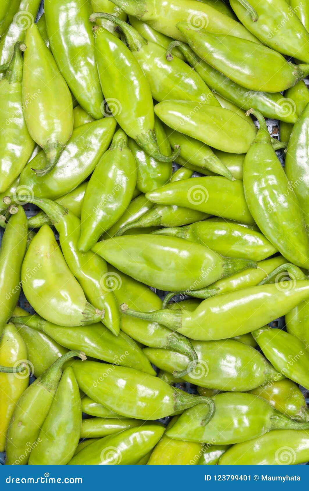 Green chili peppers stock image. Image of market, bunch 123799401