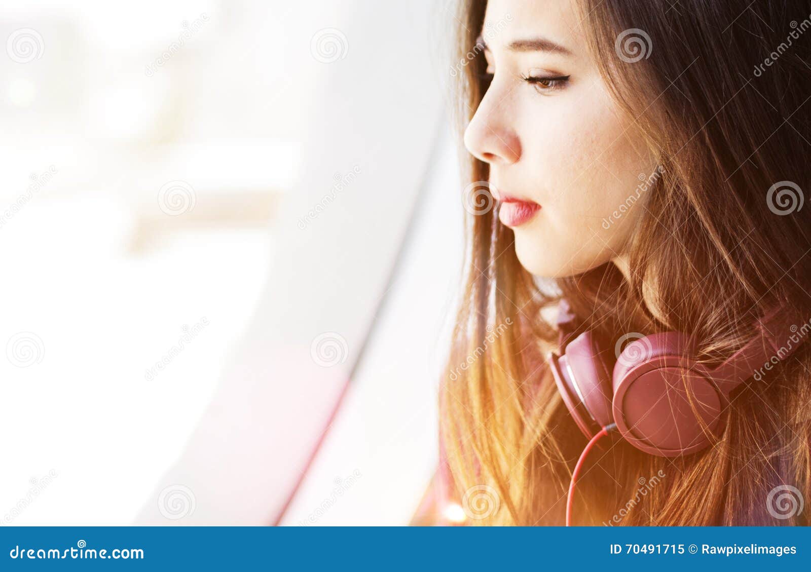 Silentizers of the Snow: Macaques Expose Hidden Power in Chilling Calm