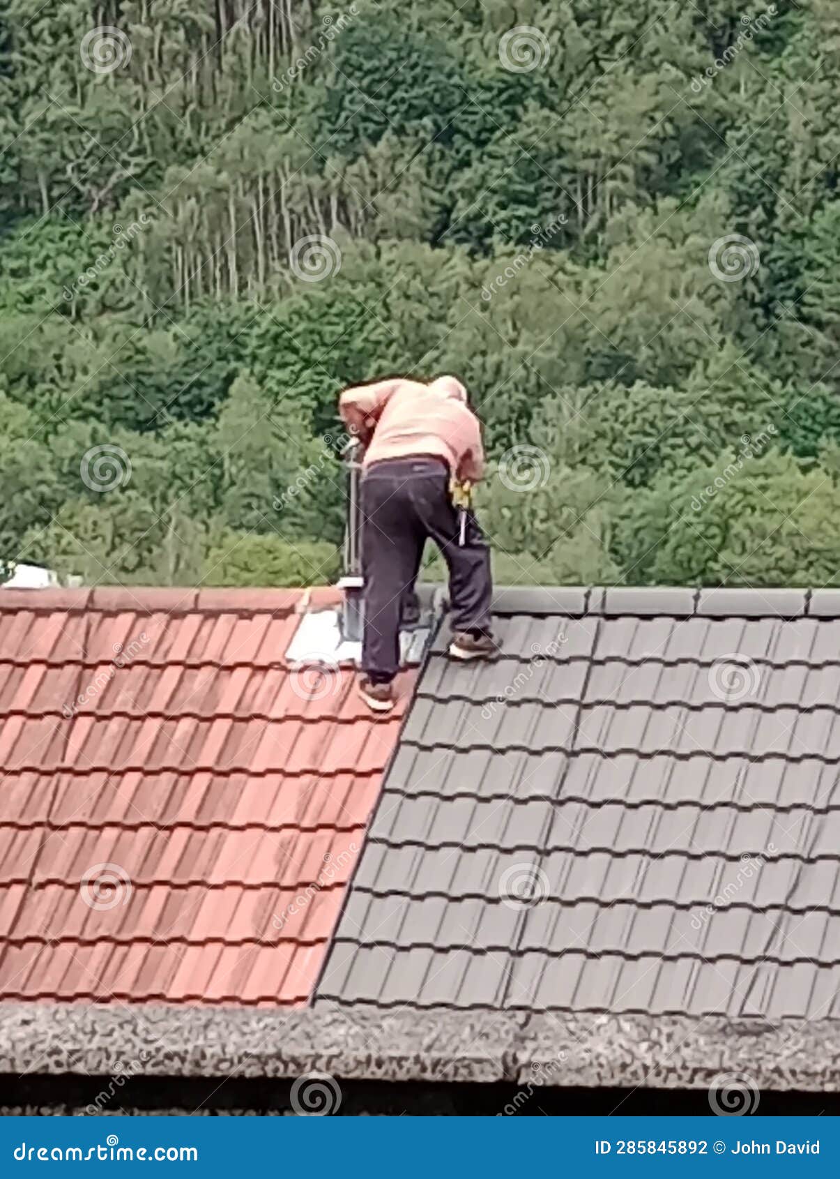 Chimney Sweep with Trees in Back Ground Editorial Photography Image