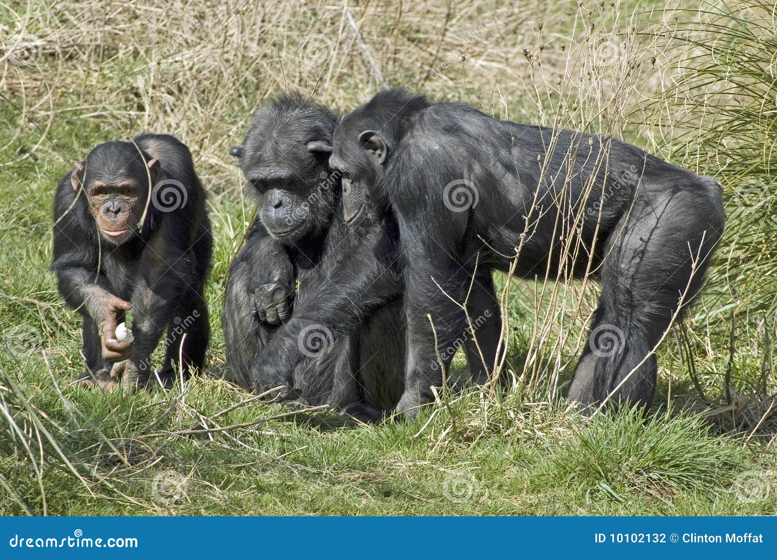 Echa un vistazo al póster de \, image size:1600x1154