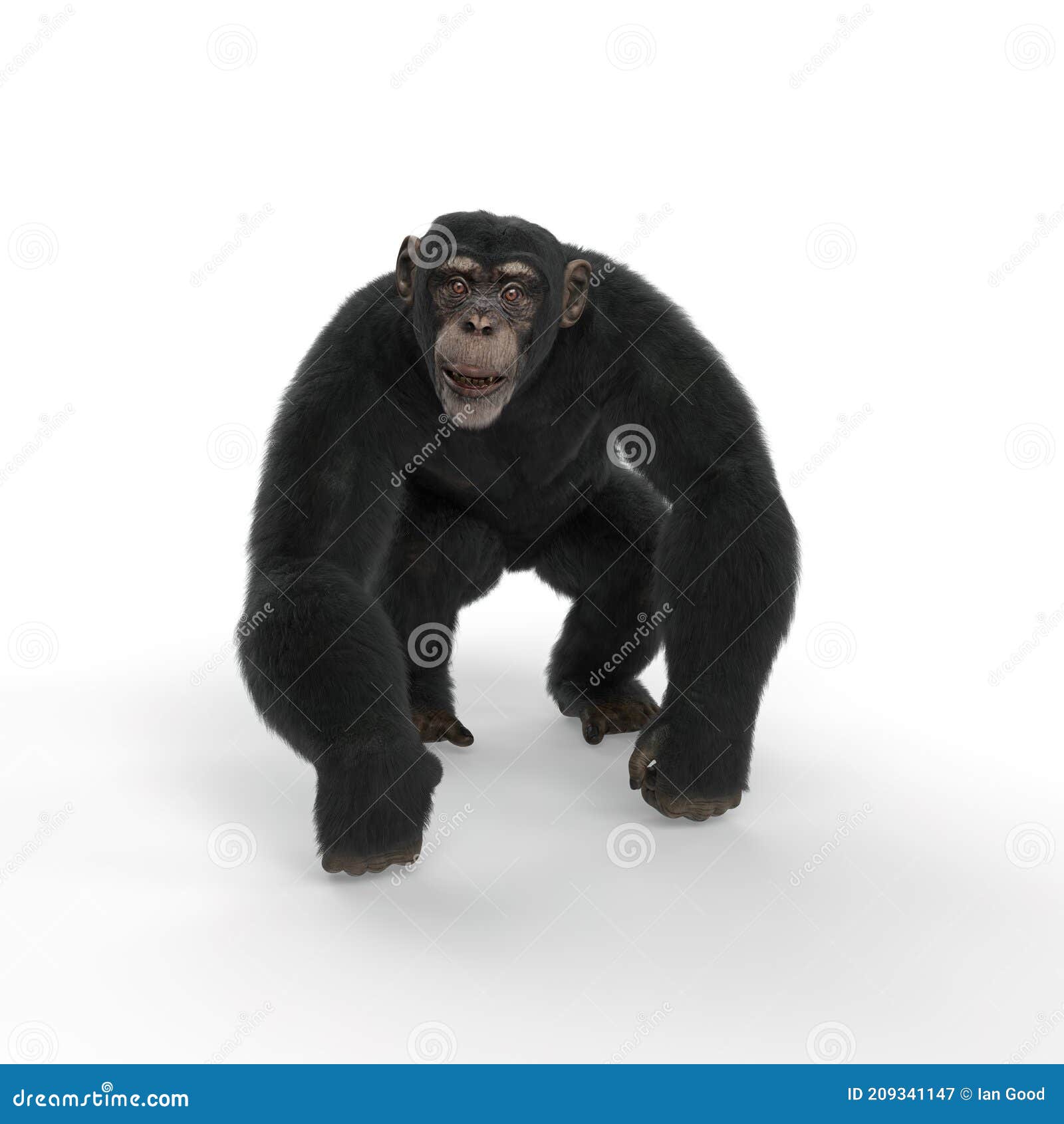 macaco chimpanzé andando 7070831 Vetor no Vecteezy