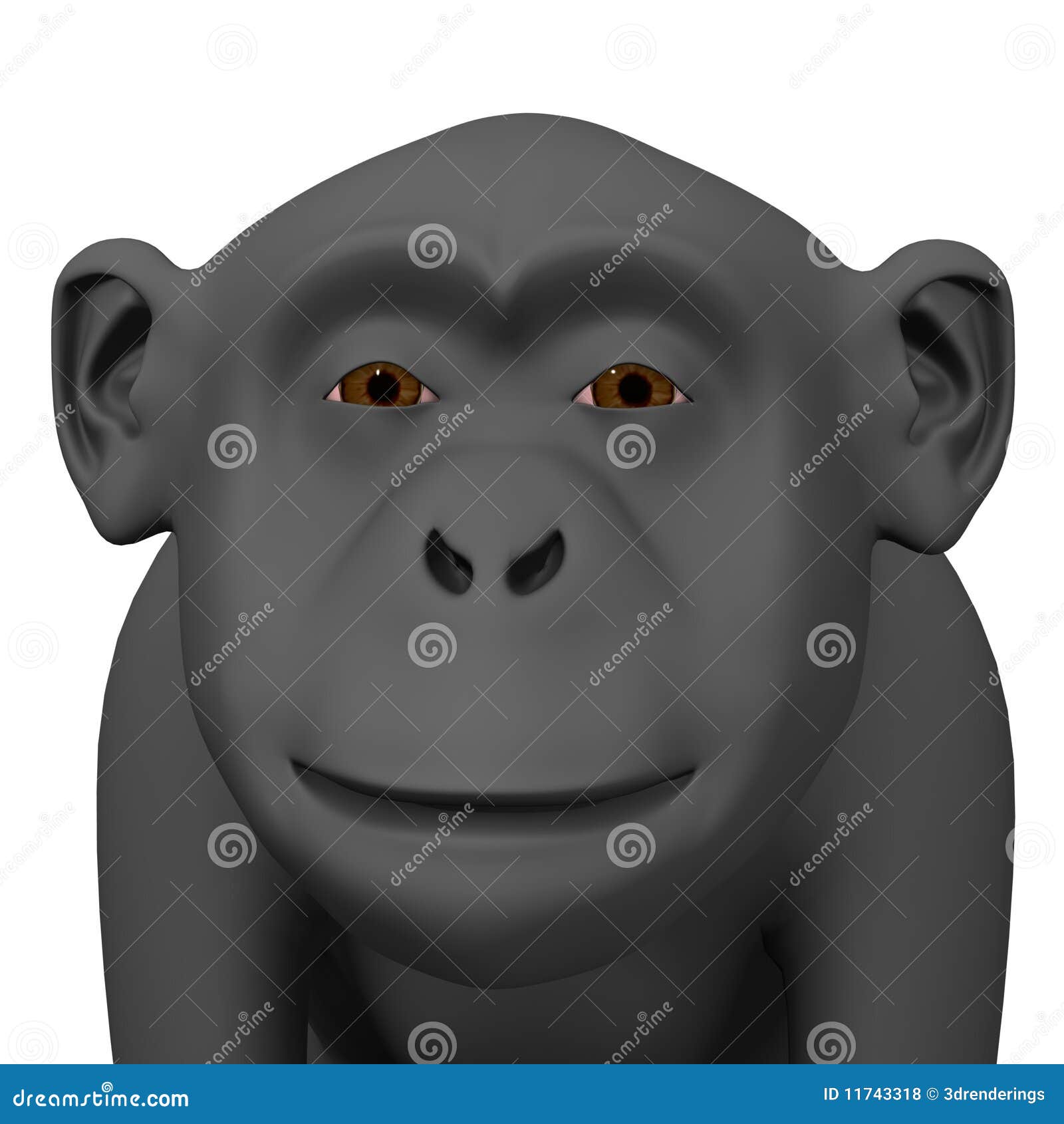 Chimpanzee stock illustration. Illustration of organs - 11743318