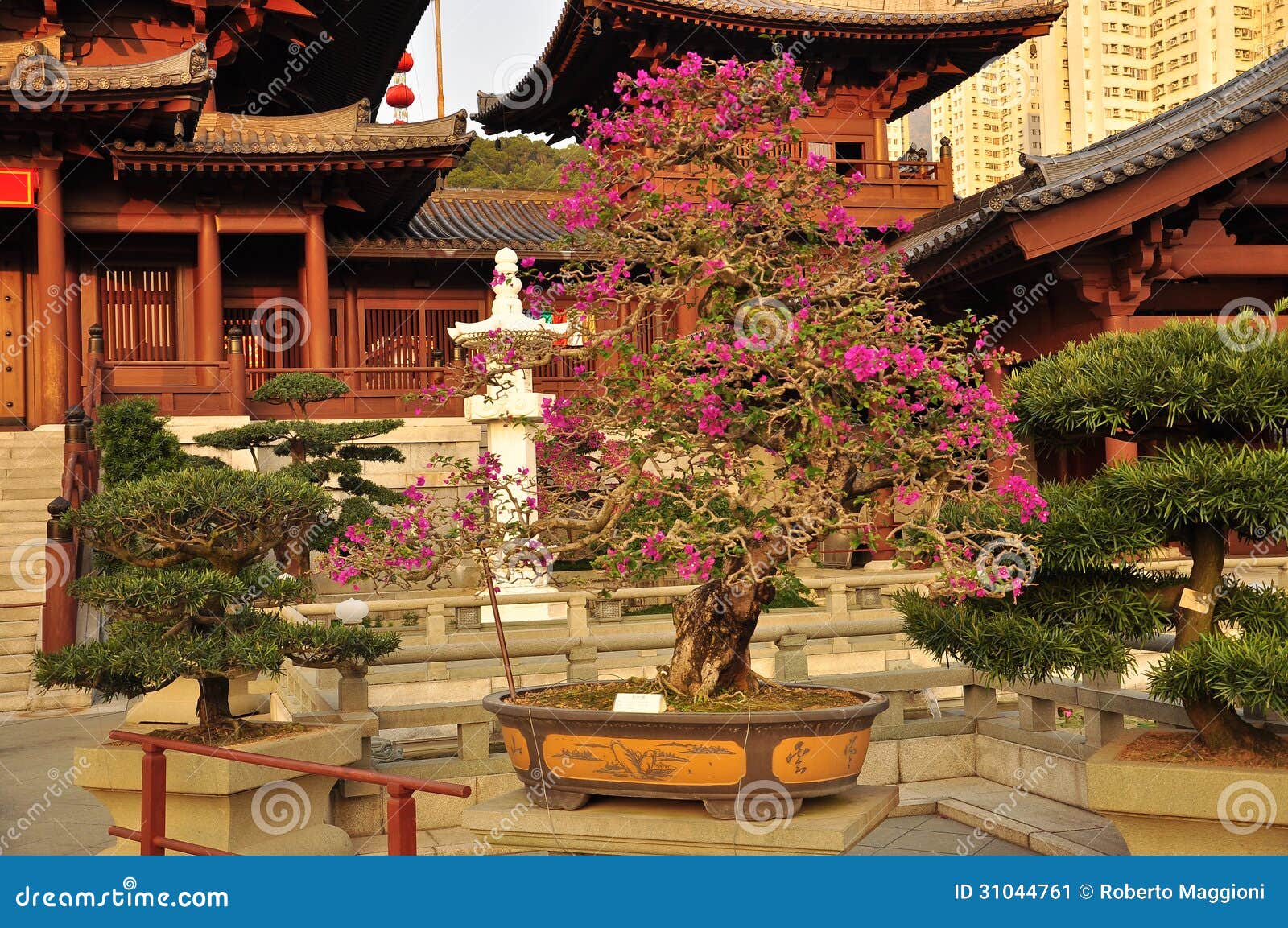 chin li nunnery and bonsai gardens, hong kong