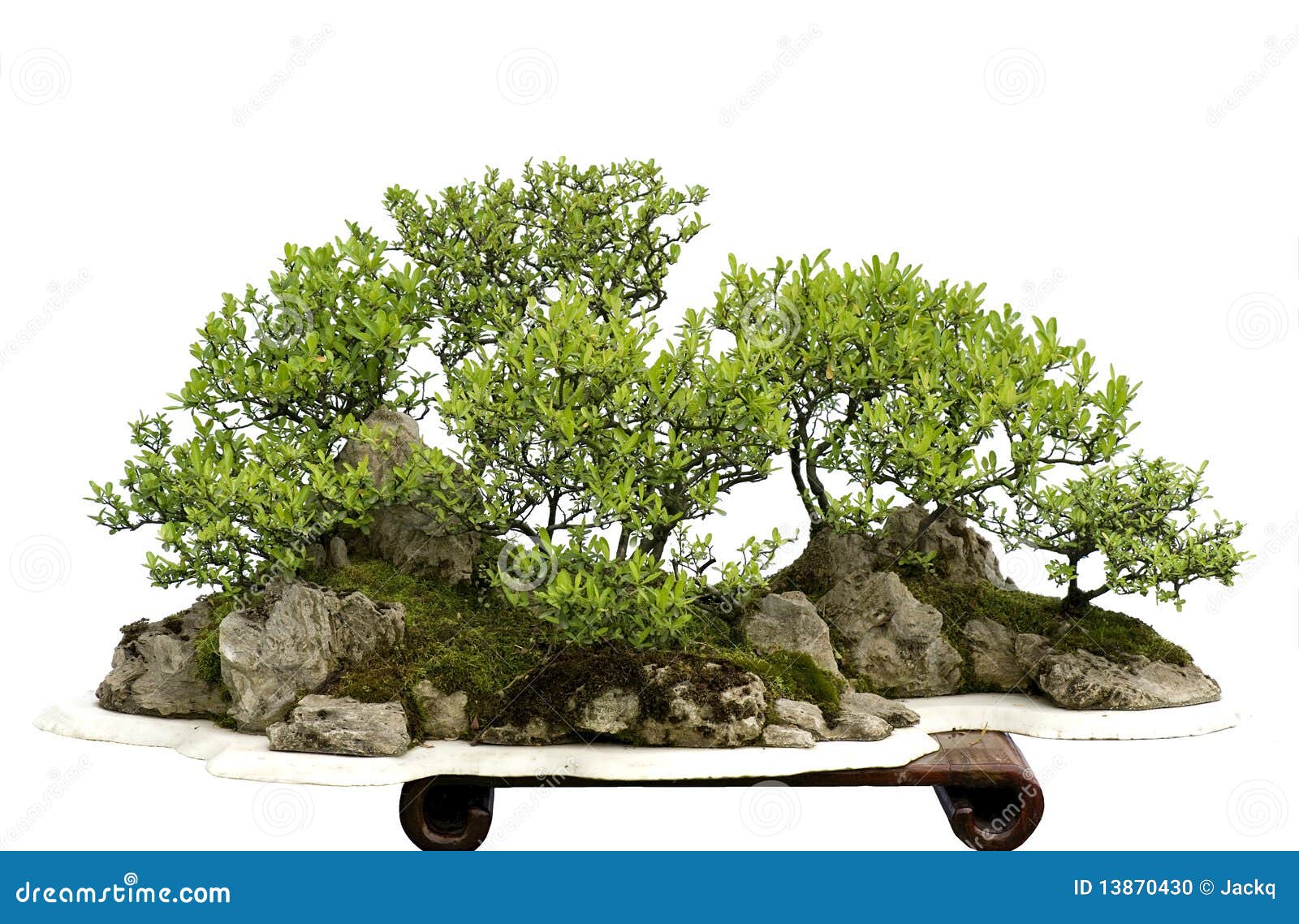 China bonsai stock photo. Image of tranquil, bonsai, tree 13870430