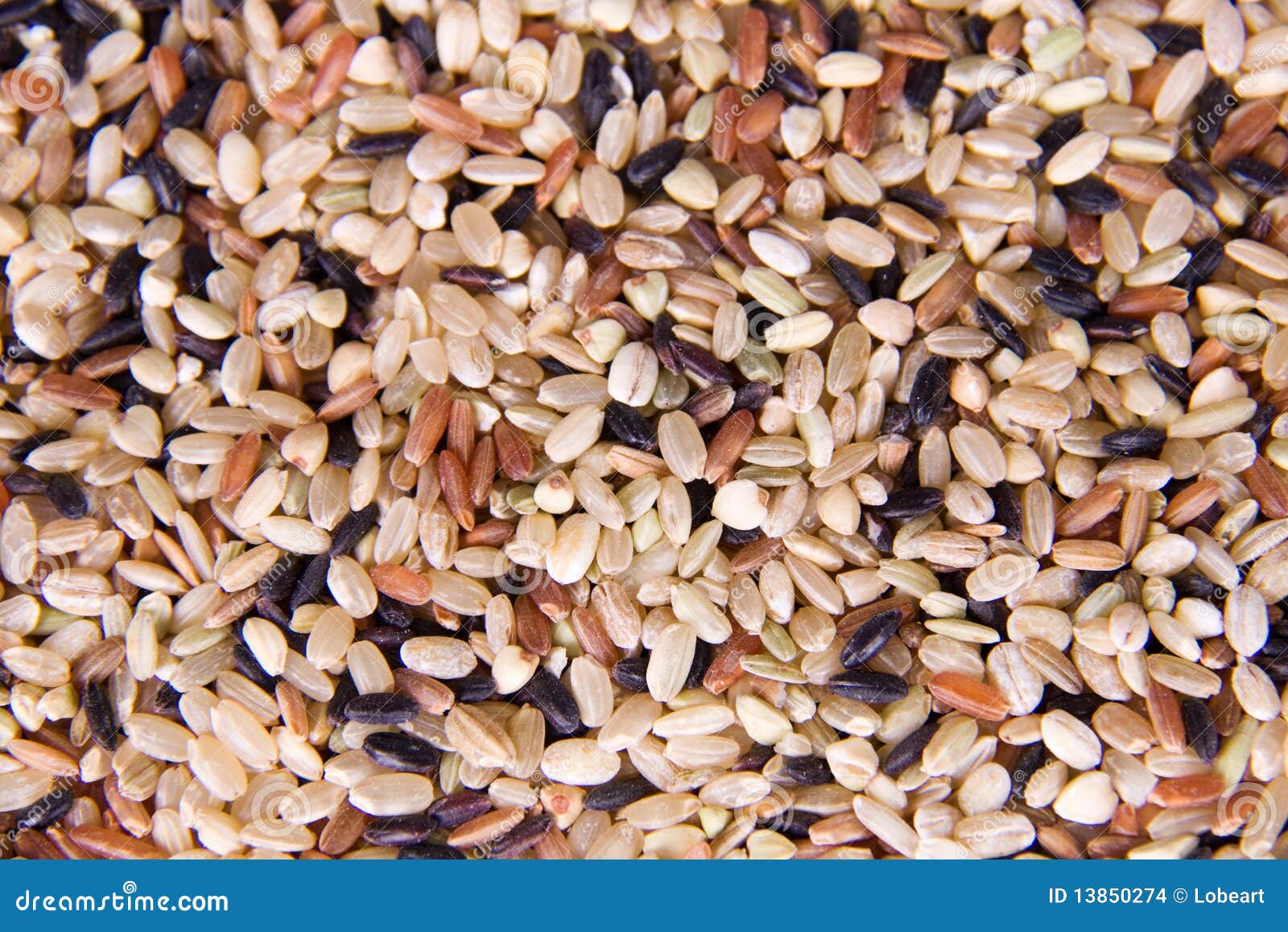 China cereal stock photo. Image of brown, grains, cereals 13850274