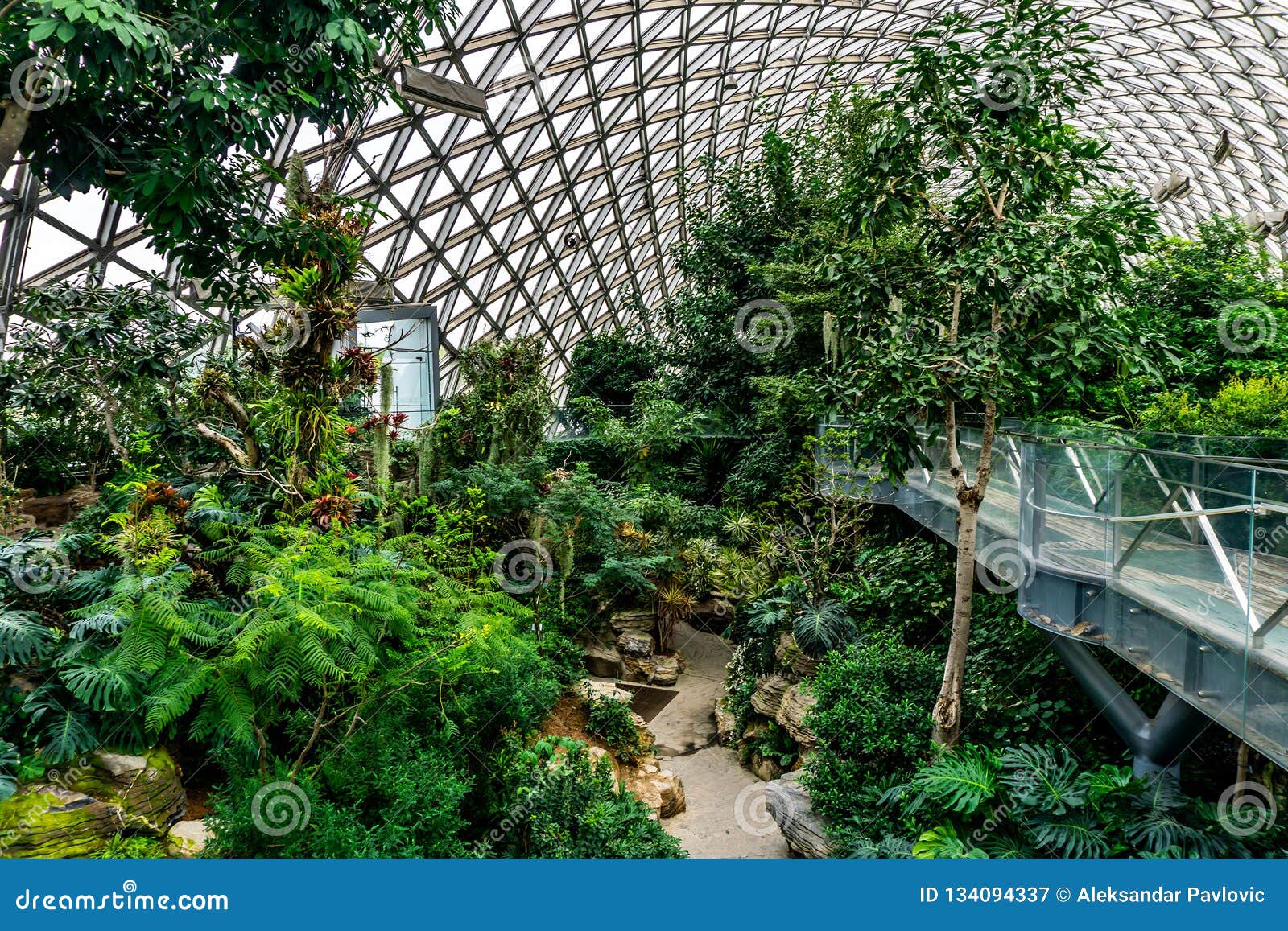 China Shanghai Botanical Garden Greenhouse 8 Stock Image - Image of ...