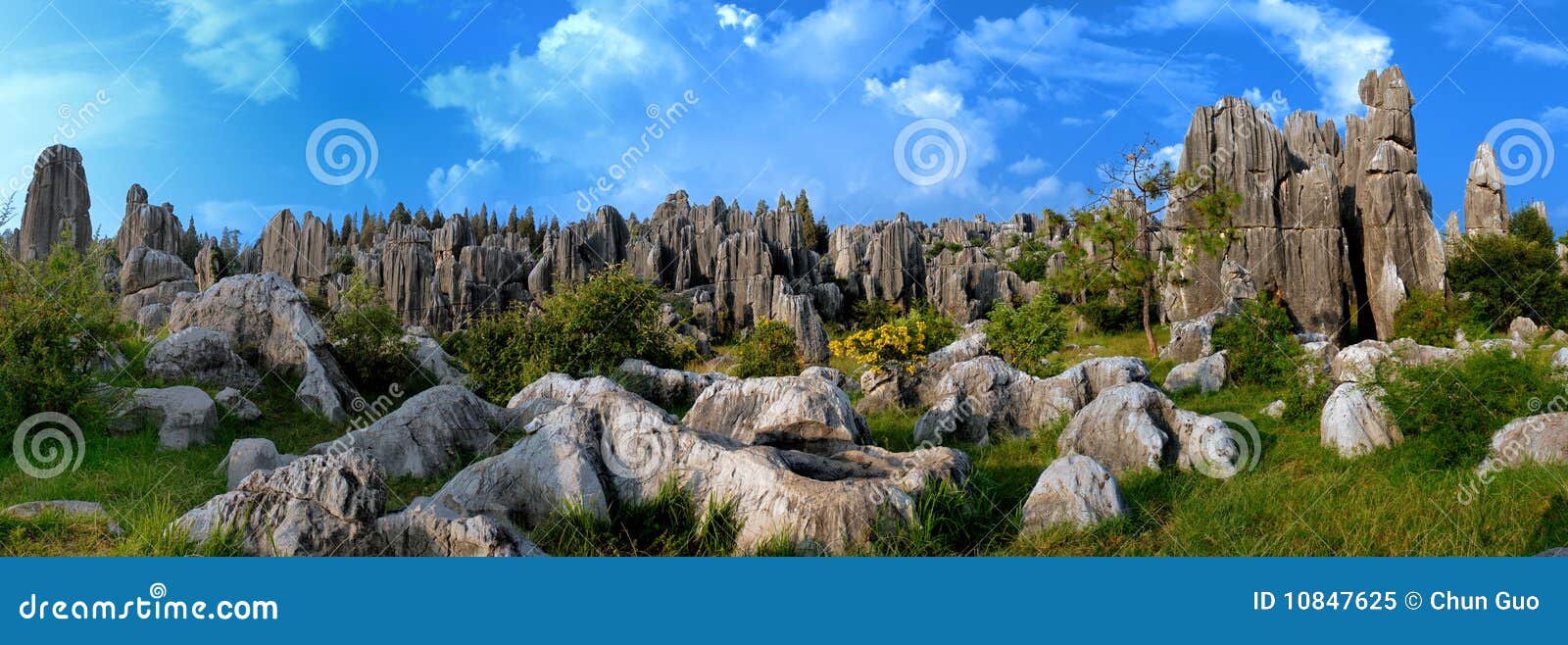 china stone forest