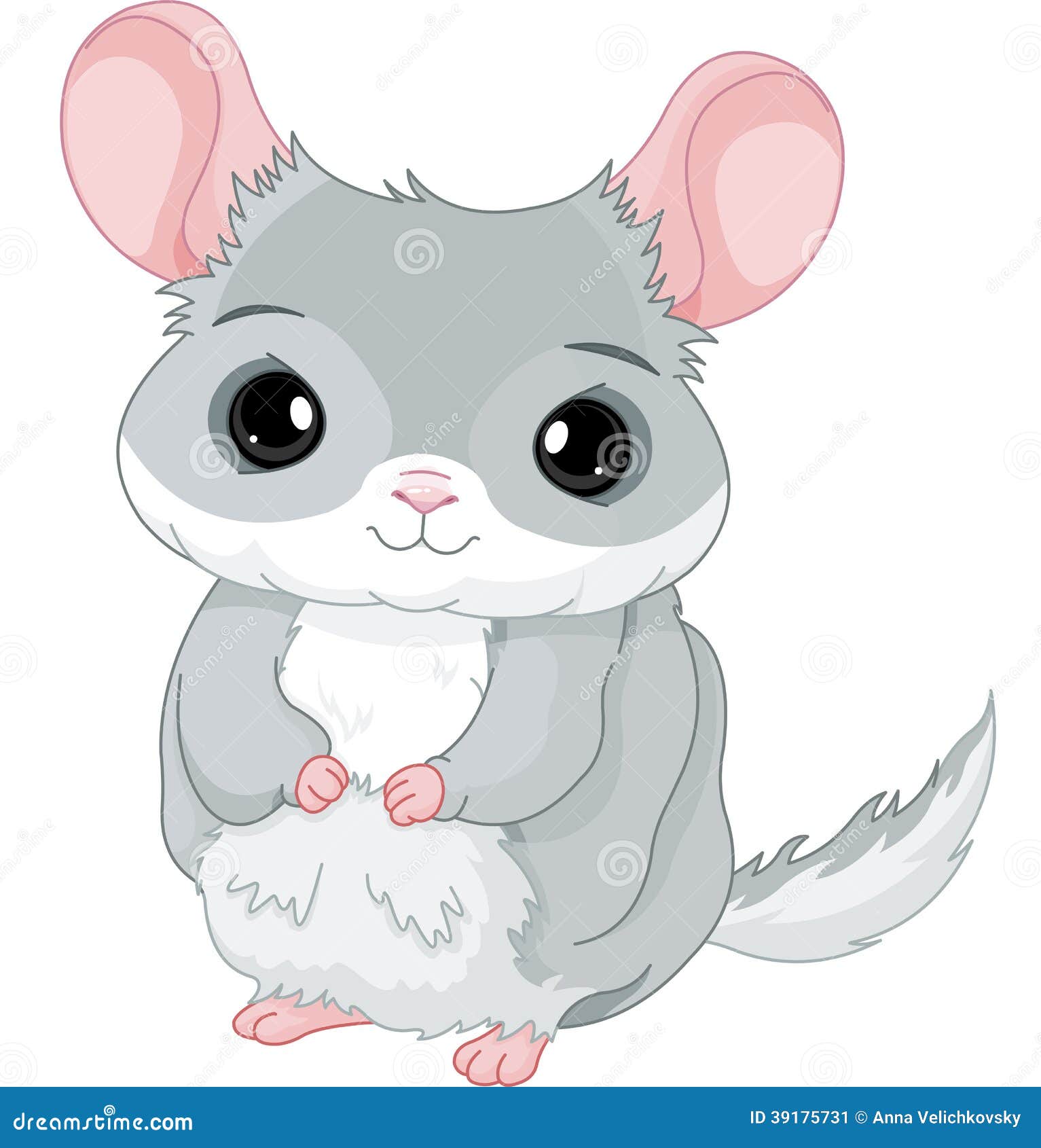 Chinchilla Cartoons, Illustrations & Vector Stock Images - 684 Pictures