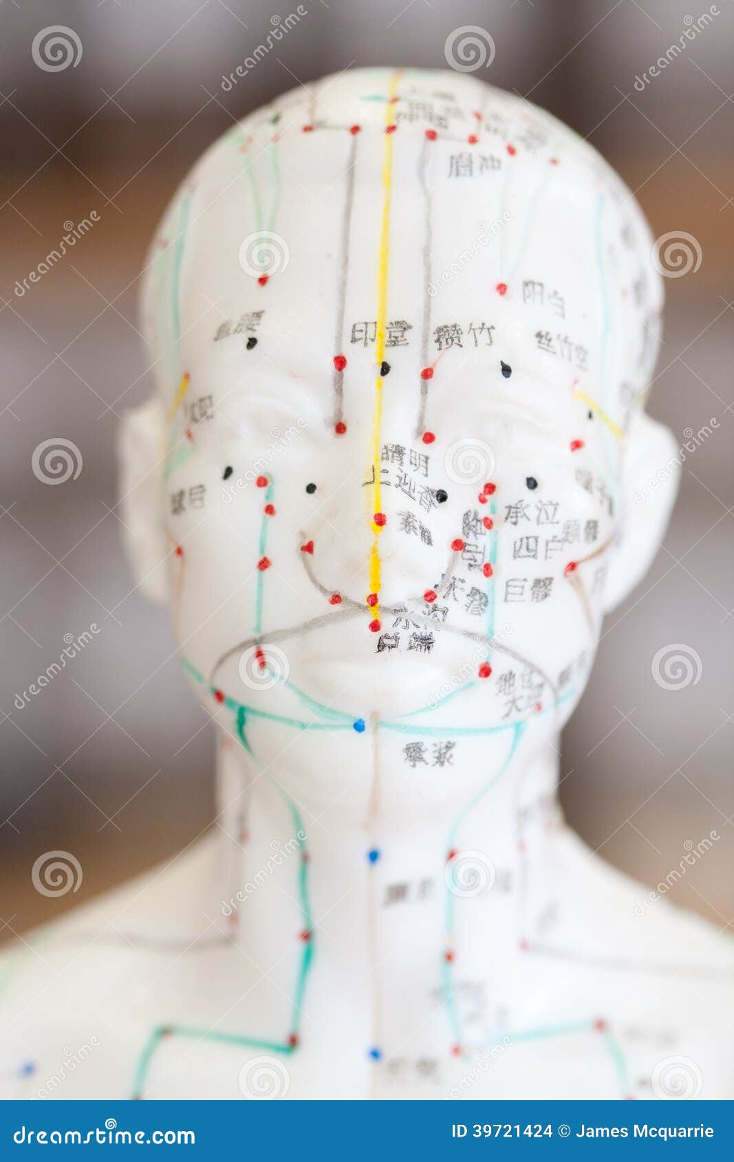 Chinese Acupuncture Medicine Stock Photo Image of alternative