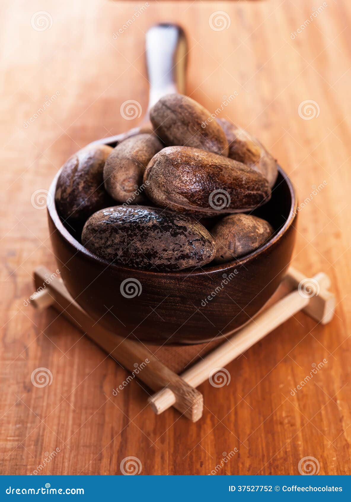 Chinese allspice stock photo. Image of allspice, natural 37527752