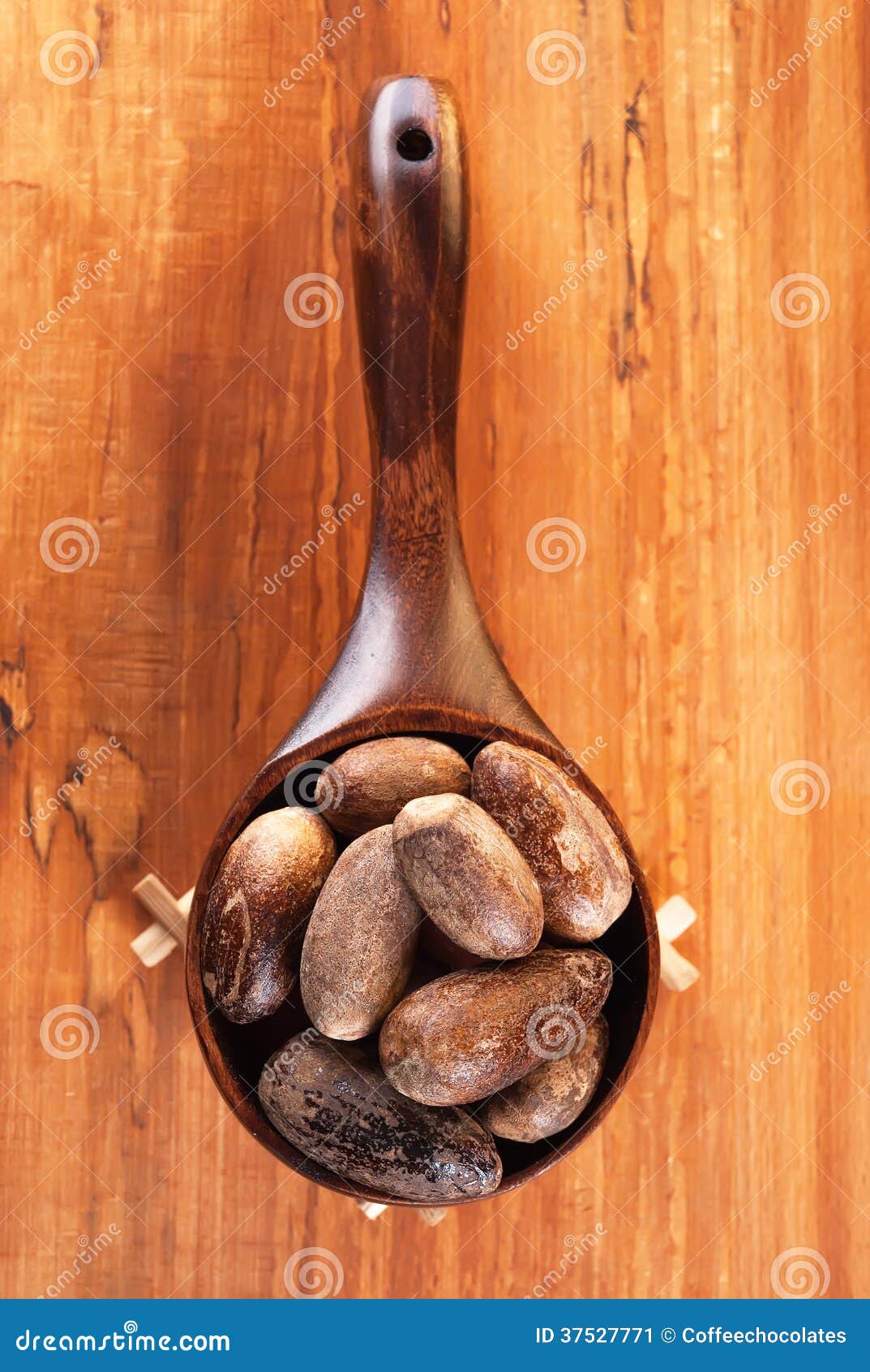 Chinese allspice stock image. Image of ingredient, season 37527771