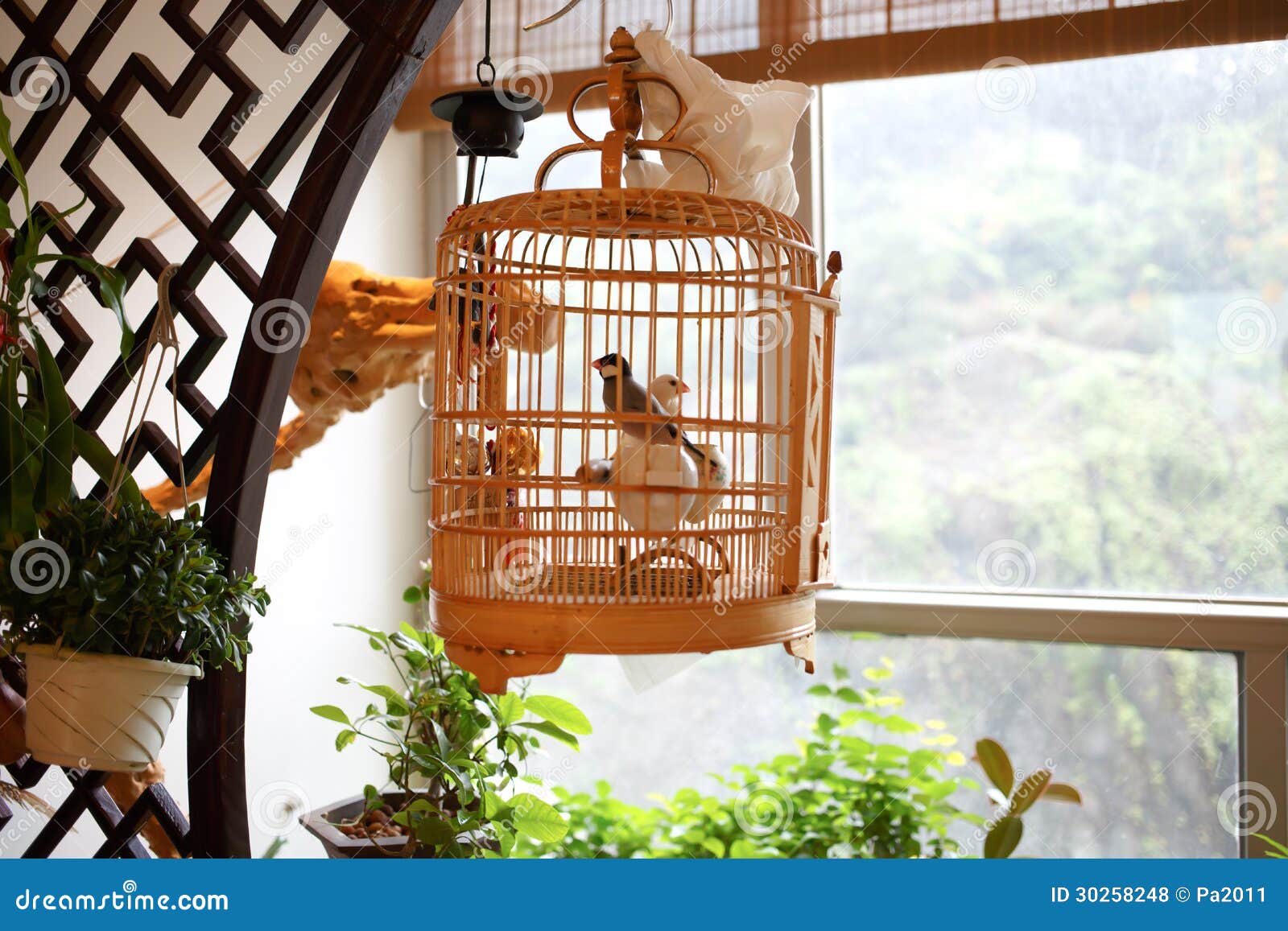 Chinese bird cages stock photo. Image of objects, tropical 30258248