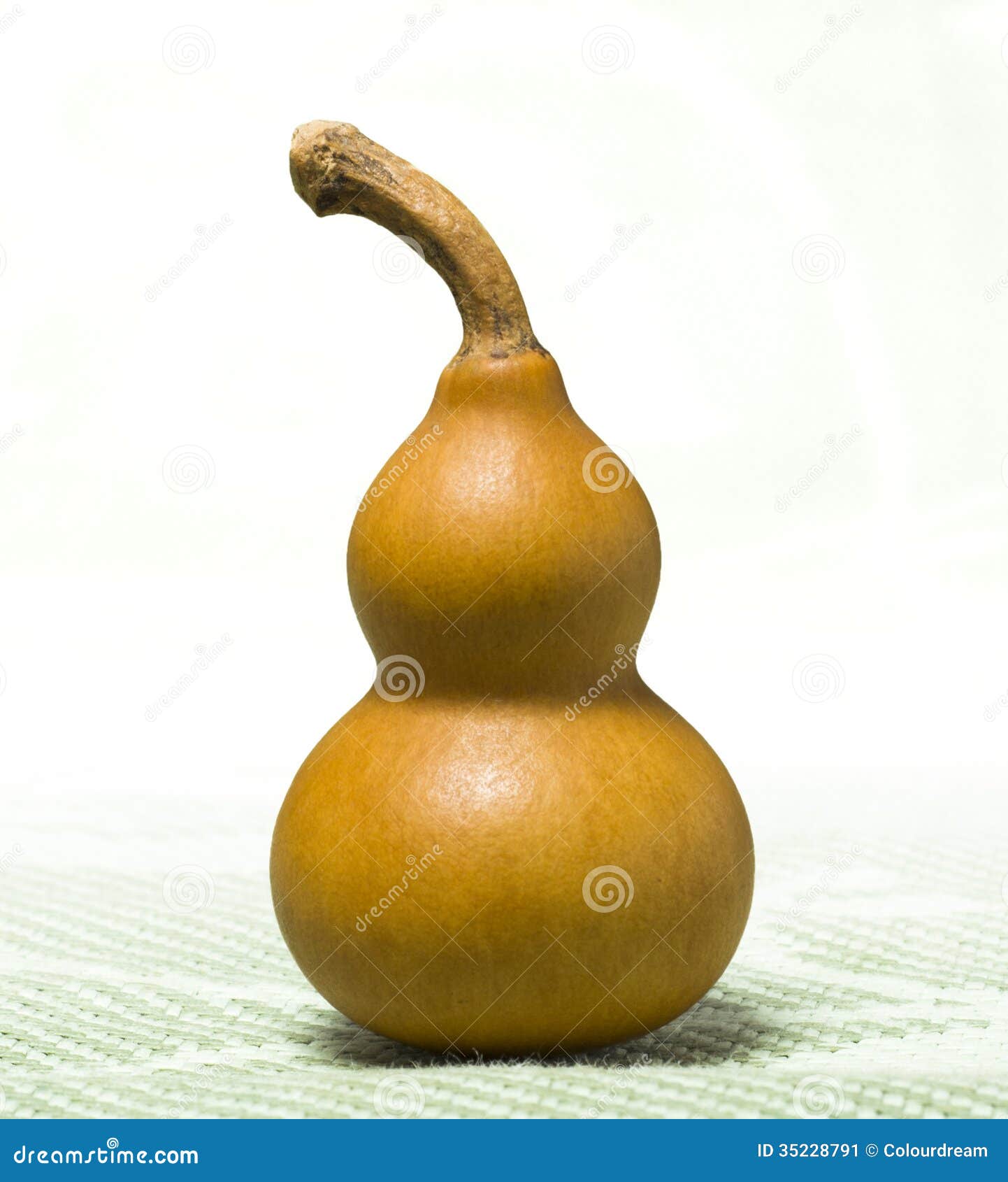 chinese bottle gourd