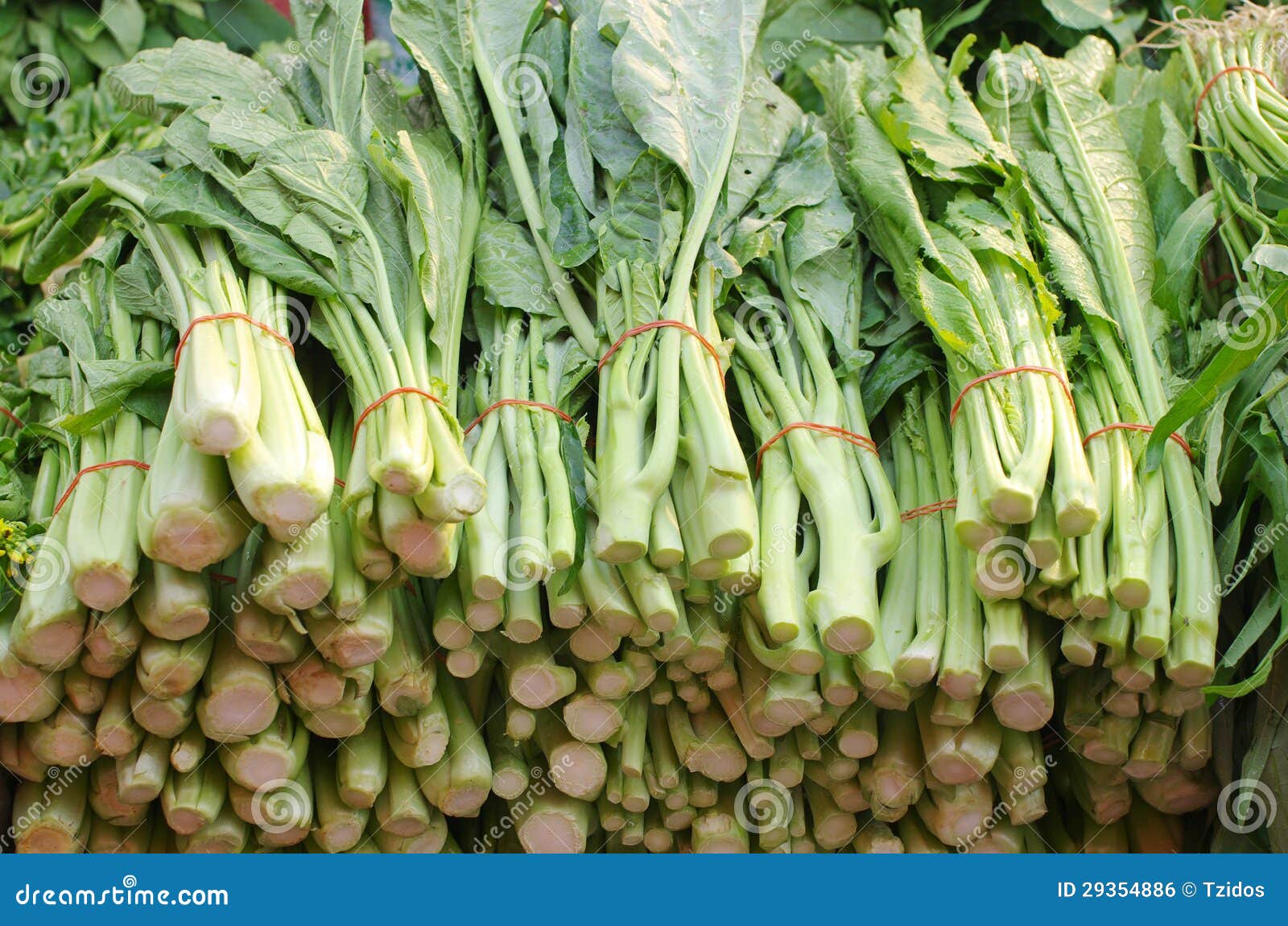 Chinese Broccoli Vegetables Stock Photo Image of market, fresh 29354886