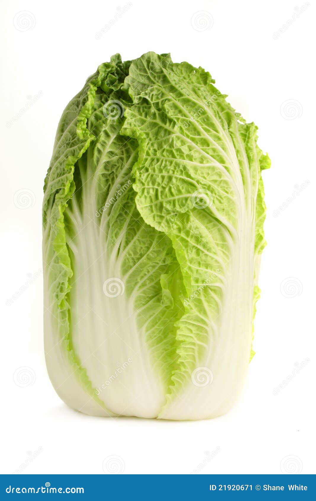 chinese cabbage.