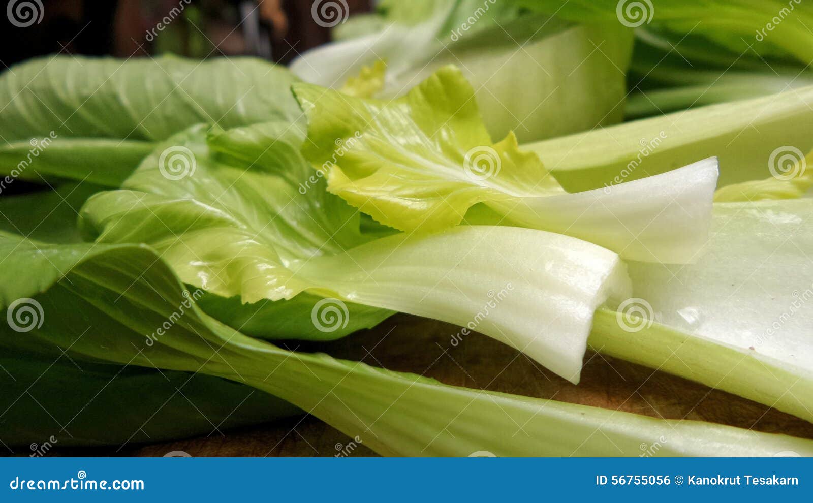Chinese cabbage leaves stock photo. Image of recipe, dish 56755056