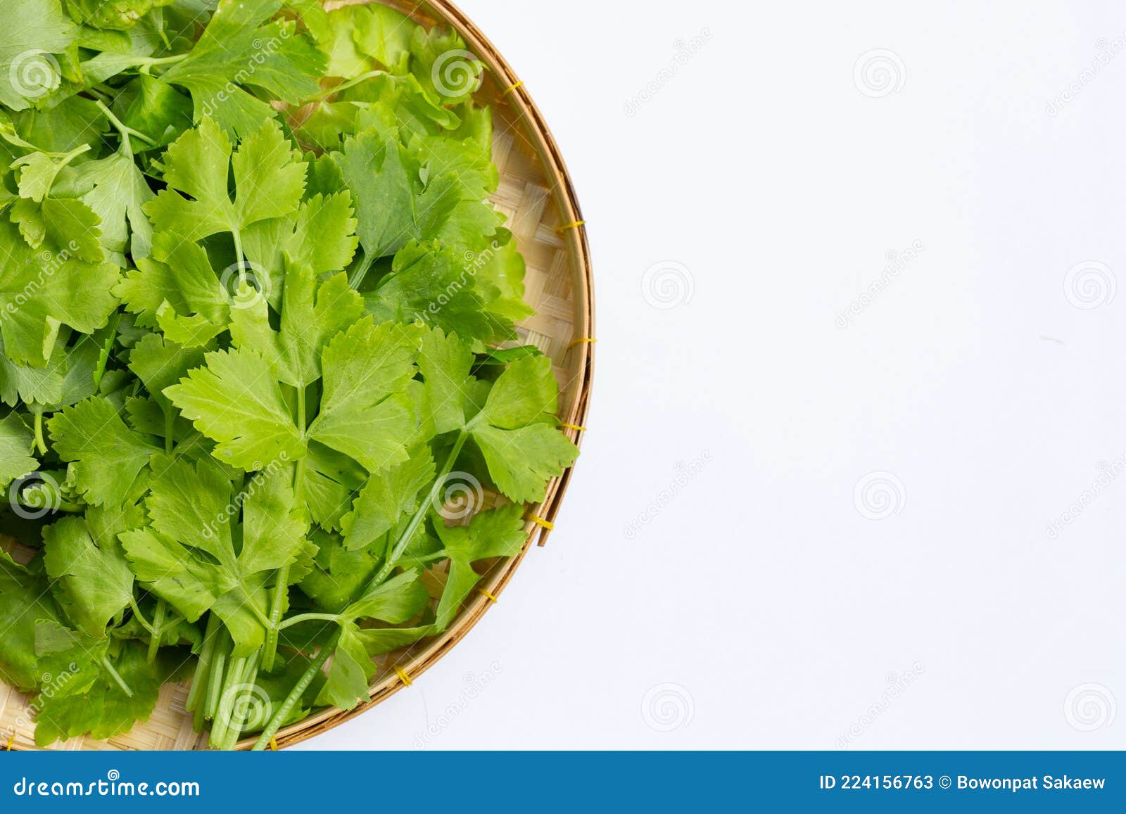 Chinese Celery Leaves on Bamboo Basket on White Background Stock Image Image of diet, produce