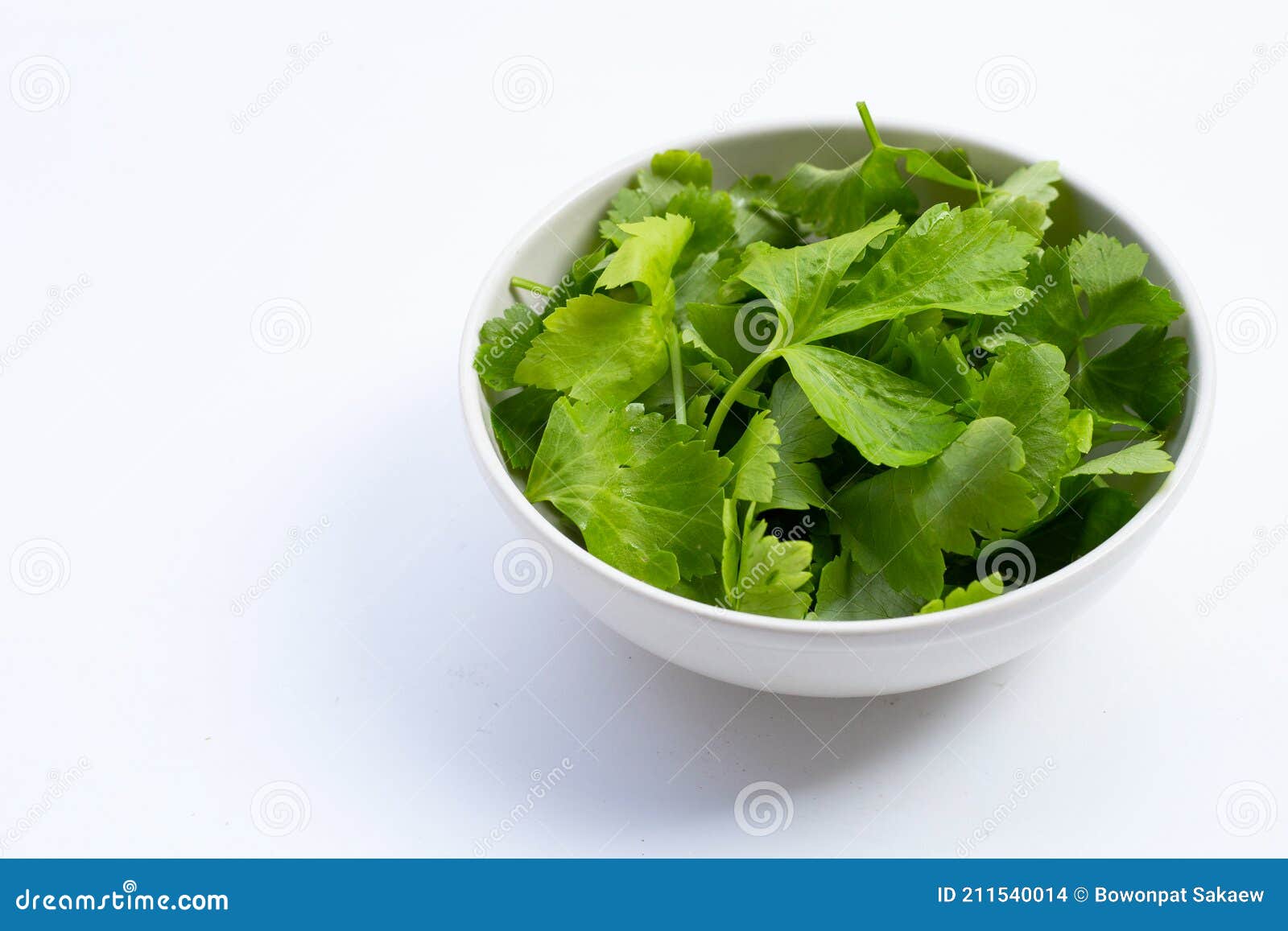 Chinese Celery Leaves in White Bowl on White Stock Photo Image of