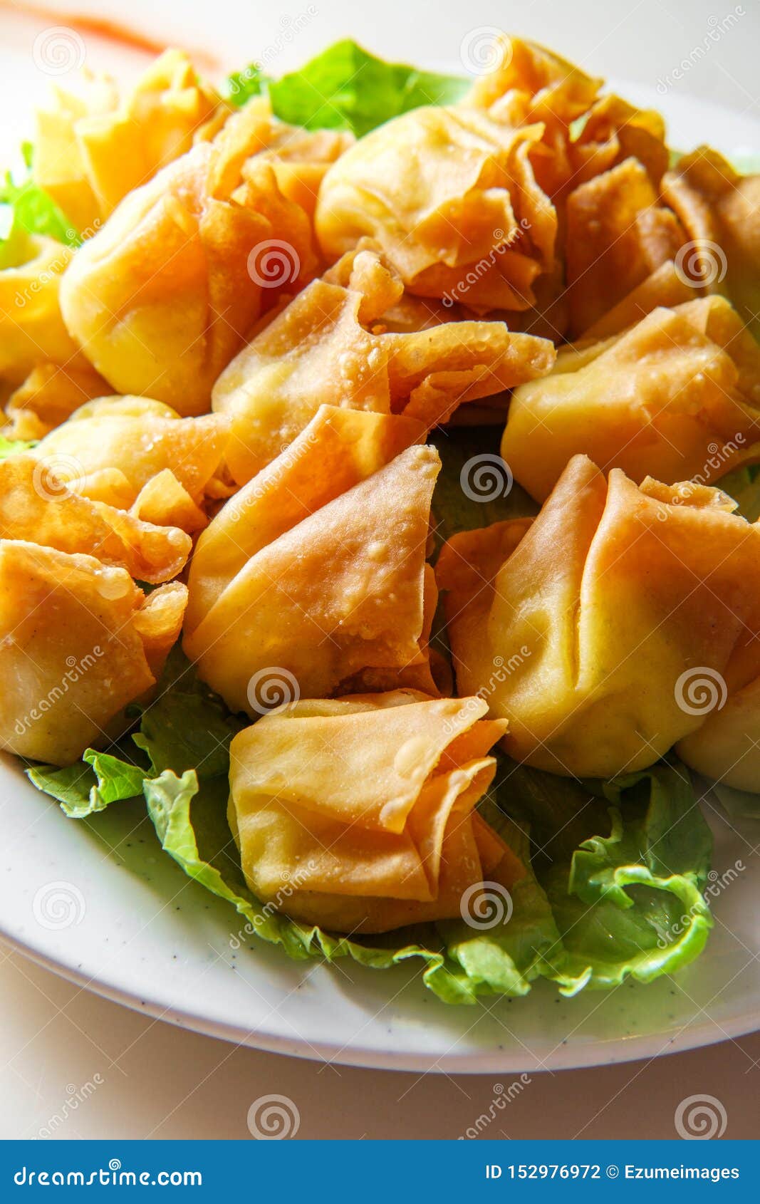 Chinese Cheese Wontons stock photo. Image of lunch, plate 152976972