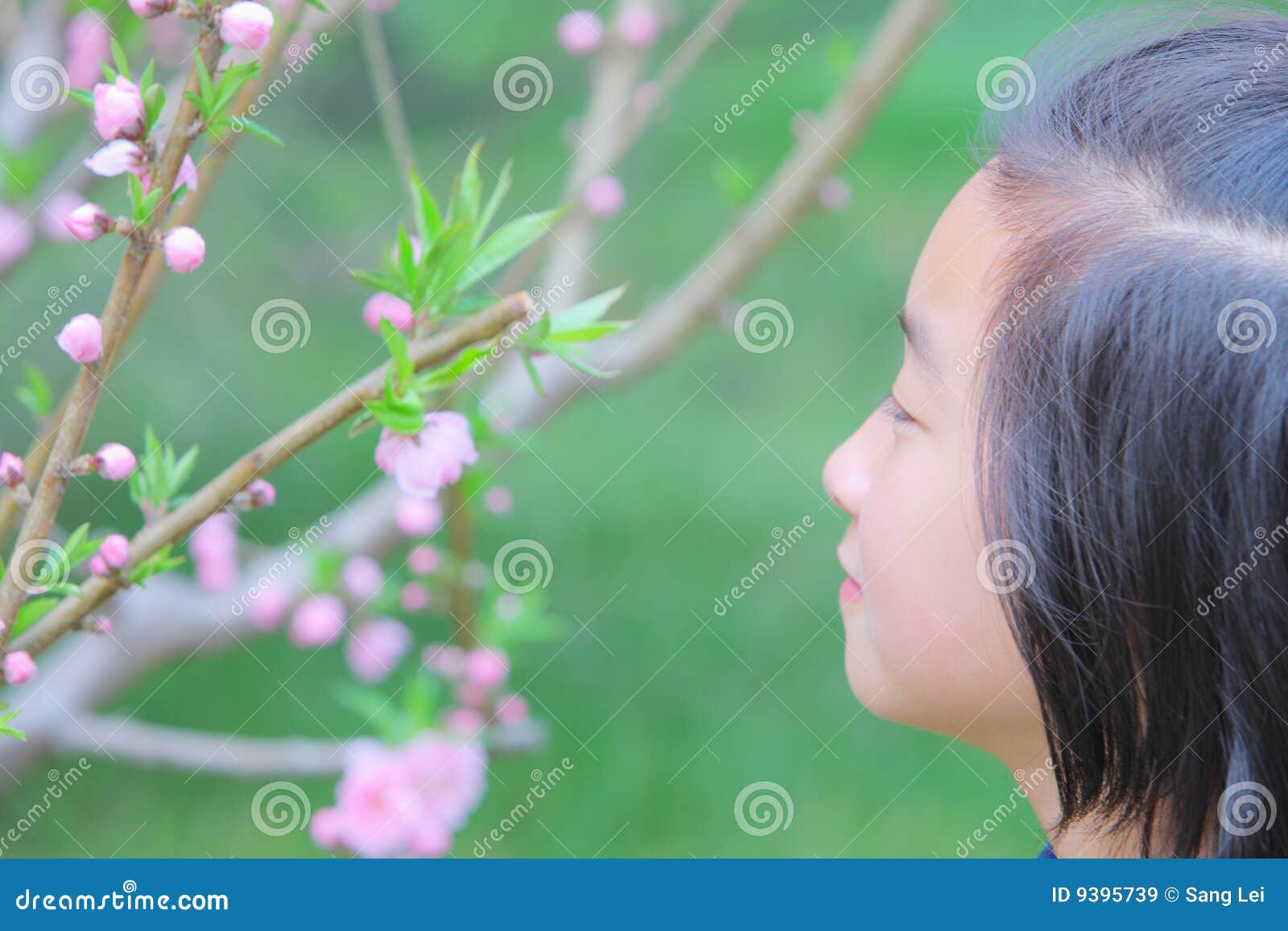 Chinese Child with Spring Flowers Stock Image Image of happy, beauty