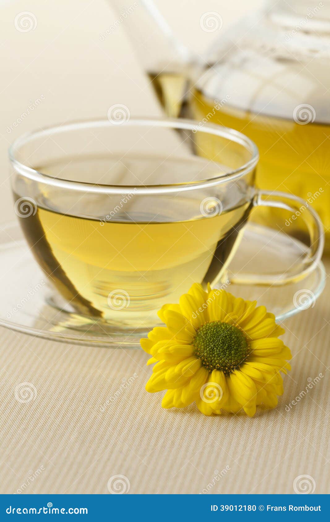 Chinese Chrysanthemum tea stock photo. Image of chrysanthemum 39012180