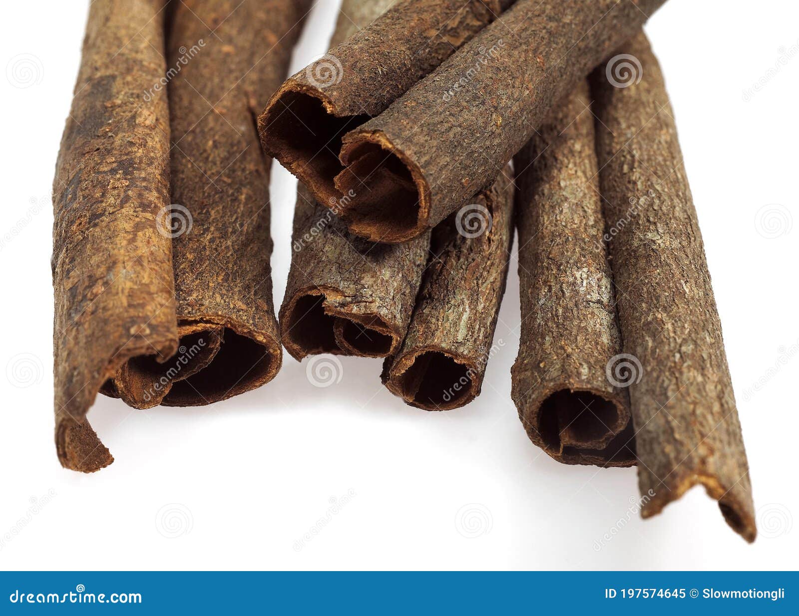 Chinese Cinnamon or Cassia Cinnamon, Cinnamomum Aromaticum Stock Image