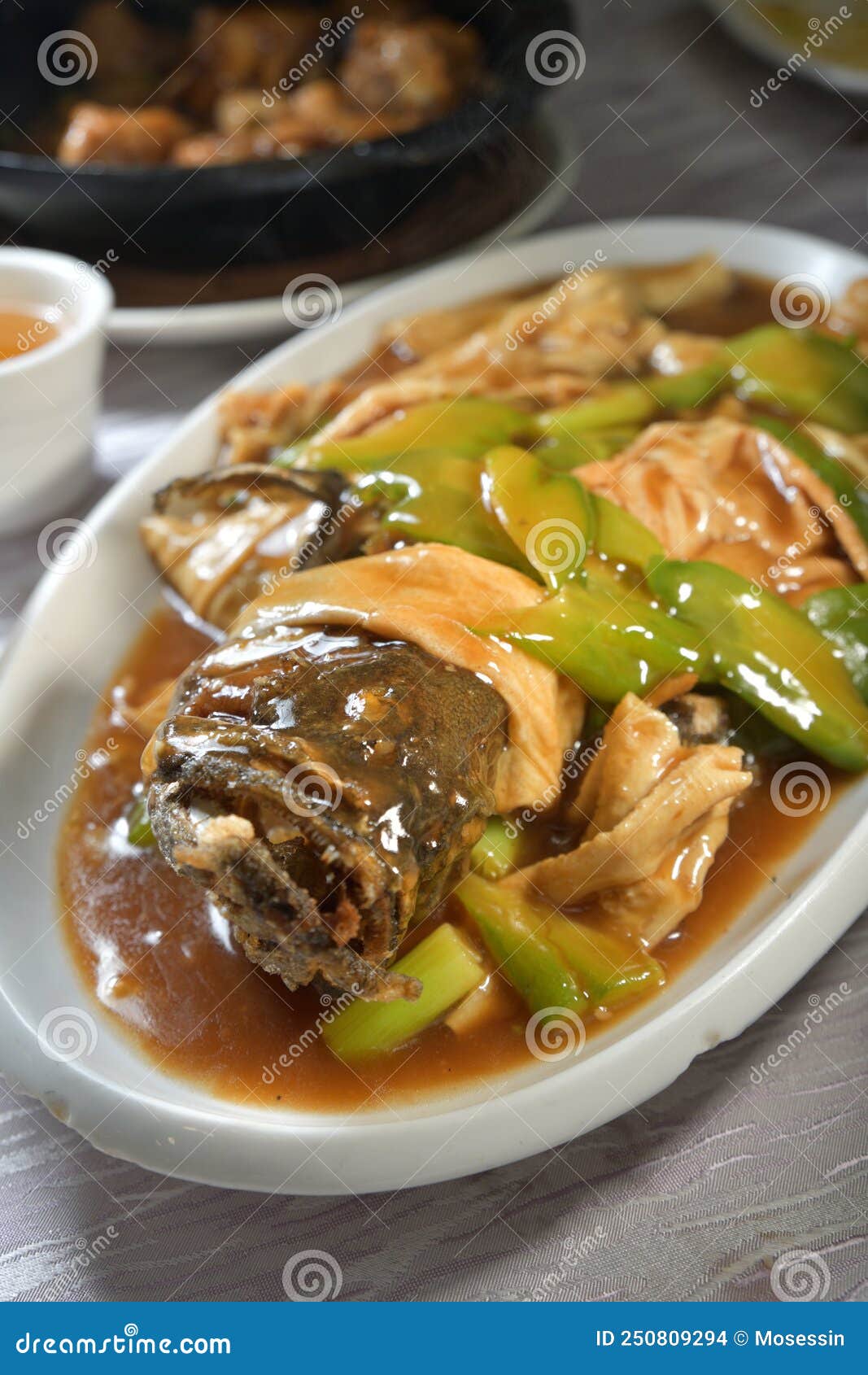 Chinese Deep Fried Fish Bitter Melon Stock Photo Image of fried, japanese 250809294
