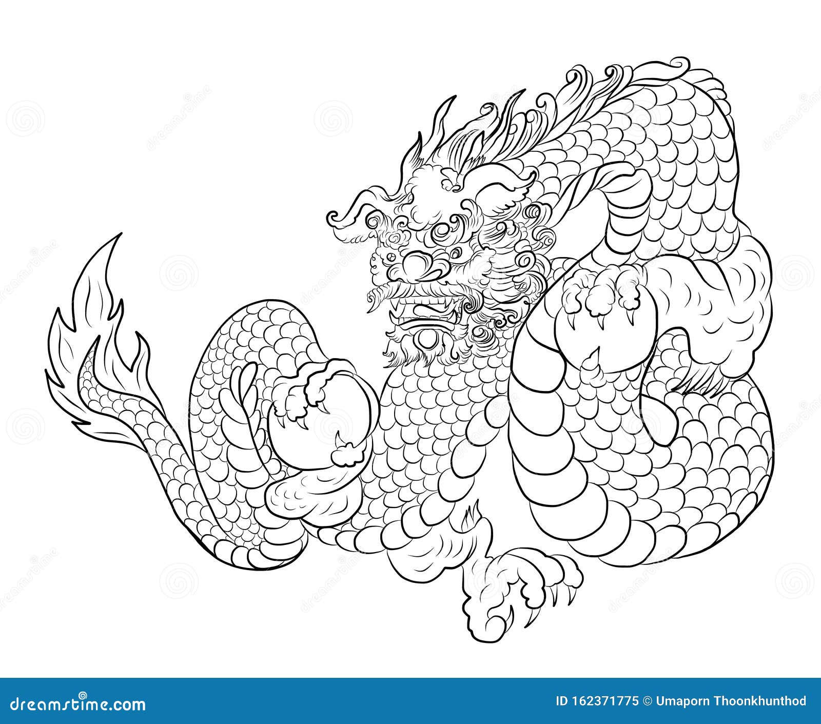 Chinese Dragon for Tattoo Design on Isolated White  Head  with Dragon Ball Vector. Stock Vector - Illustration of flower, idea:  162371775