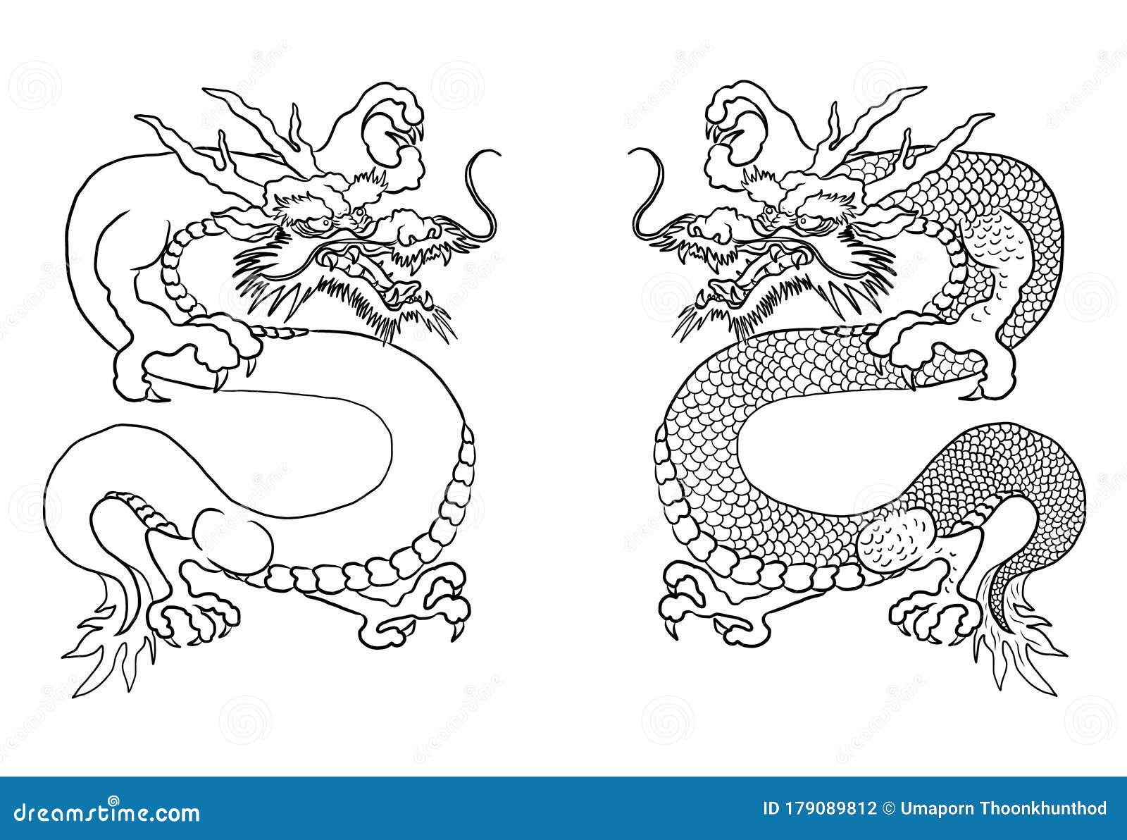 Chinese Dragon  Lucky Animal for Buddhism Stock Vector -  Illustration of floral, botany: 179089812