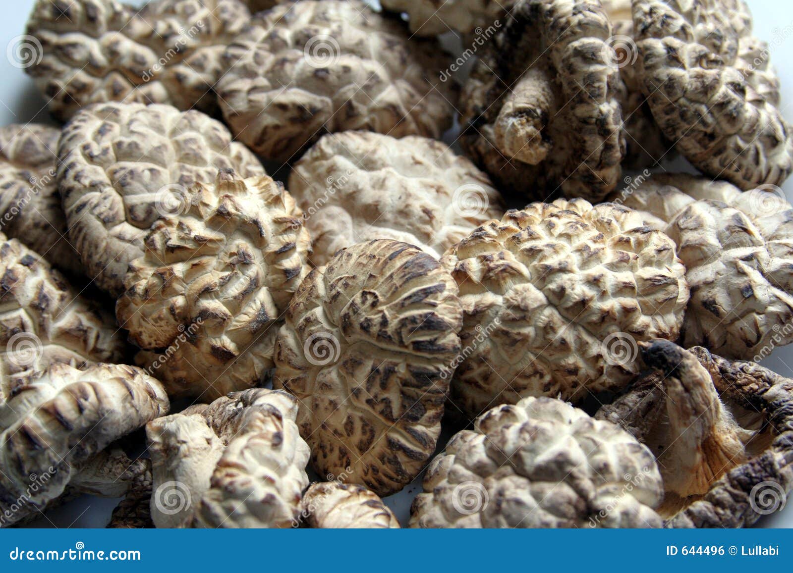 6,922 Chinese Dried Mushroom Stock Photos - Free & Royalty-Free Stock  Photos from Dreamstime