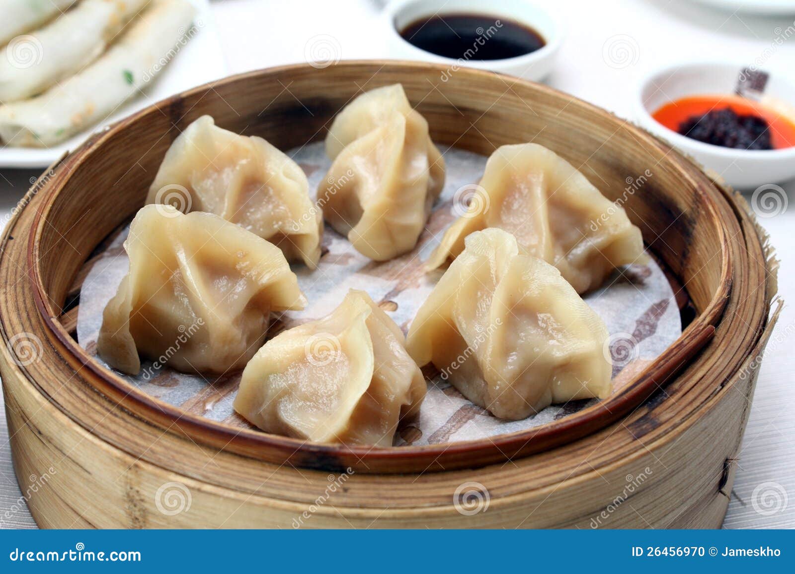 Chinese Dumplings stock photo. Image of mouthwatery, unique 26456970