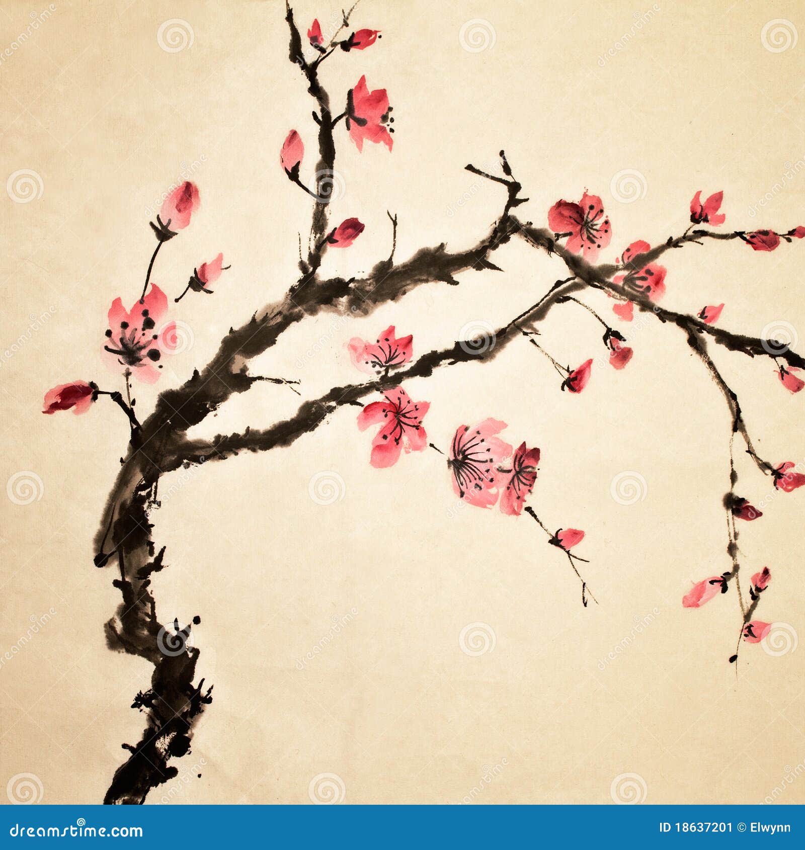 Chinese flower stock illustration. Illustration of beautiful - 18637201