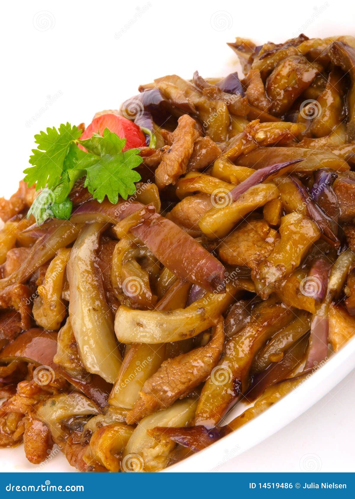 Chinese fried eggplant stock photo. Image of garlic, food 14519486