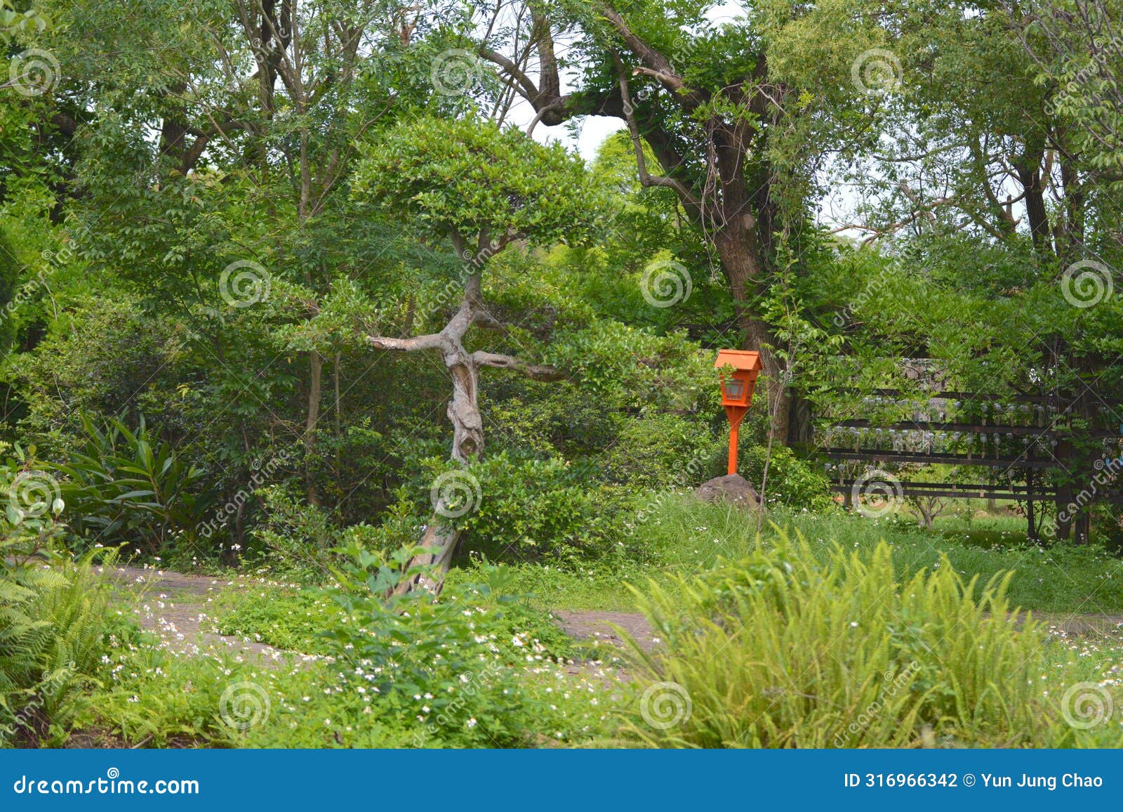 trees growing in the  of a cross in a chinese garden