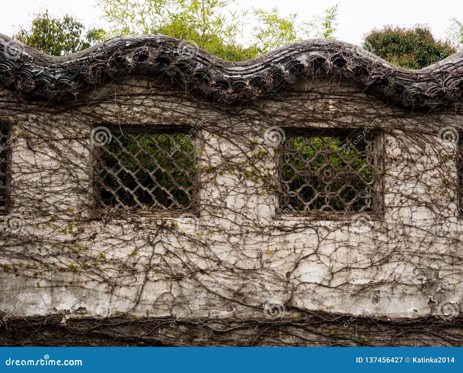 Chinese Garden Wall Covered with Vines Stock Image Image of white