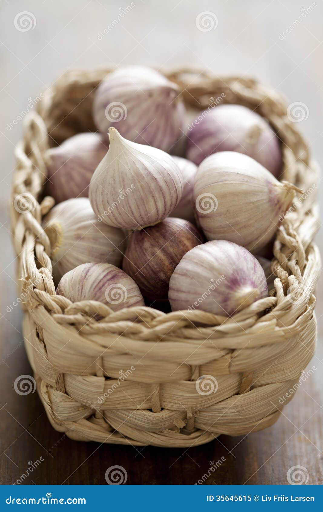 Chinese garlic stock image. Image of seasoning, farmers 35645615