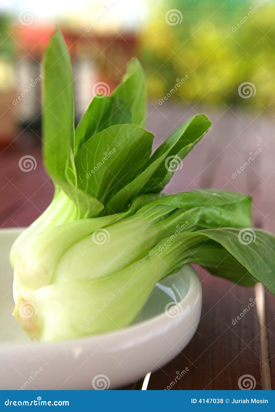 Chinese Green Vegetable Bok Choi Stock Photo Image of healthy, stalk 4147038