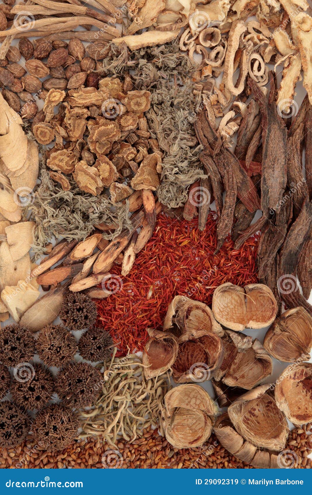Chinese Herbal Medicine stock image. Image of medicinal 29092319